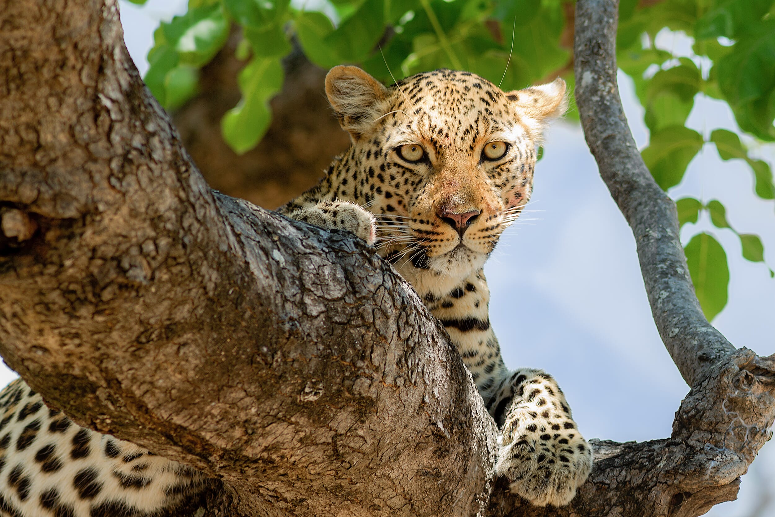 110927_1050_1064.jpg?w=2000&h=1333&scale