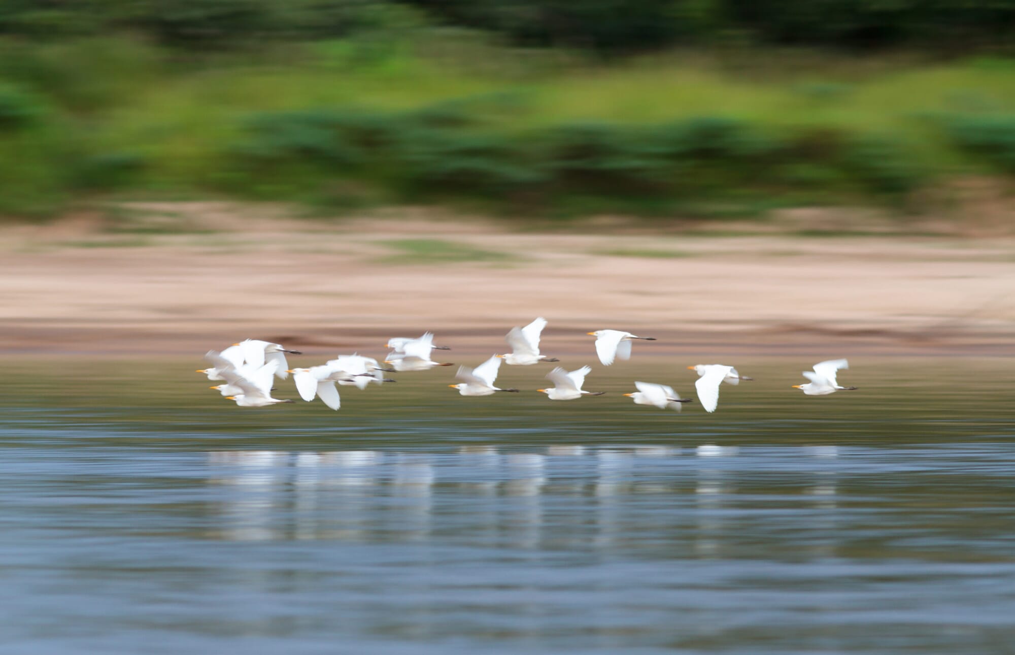 120218_1801_18-scaled.jpg?w=2000&h=1290&scale 120218_1801_18-scaled.jpg?w=2000&h=1290&scale