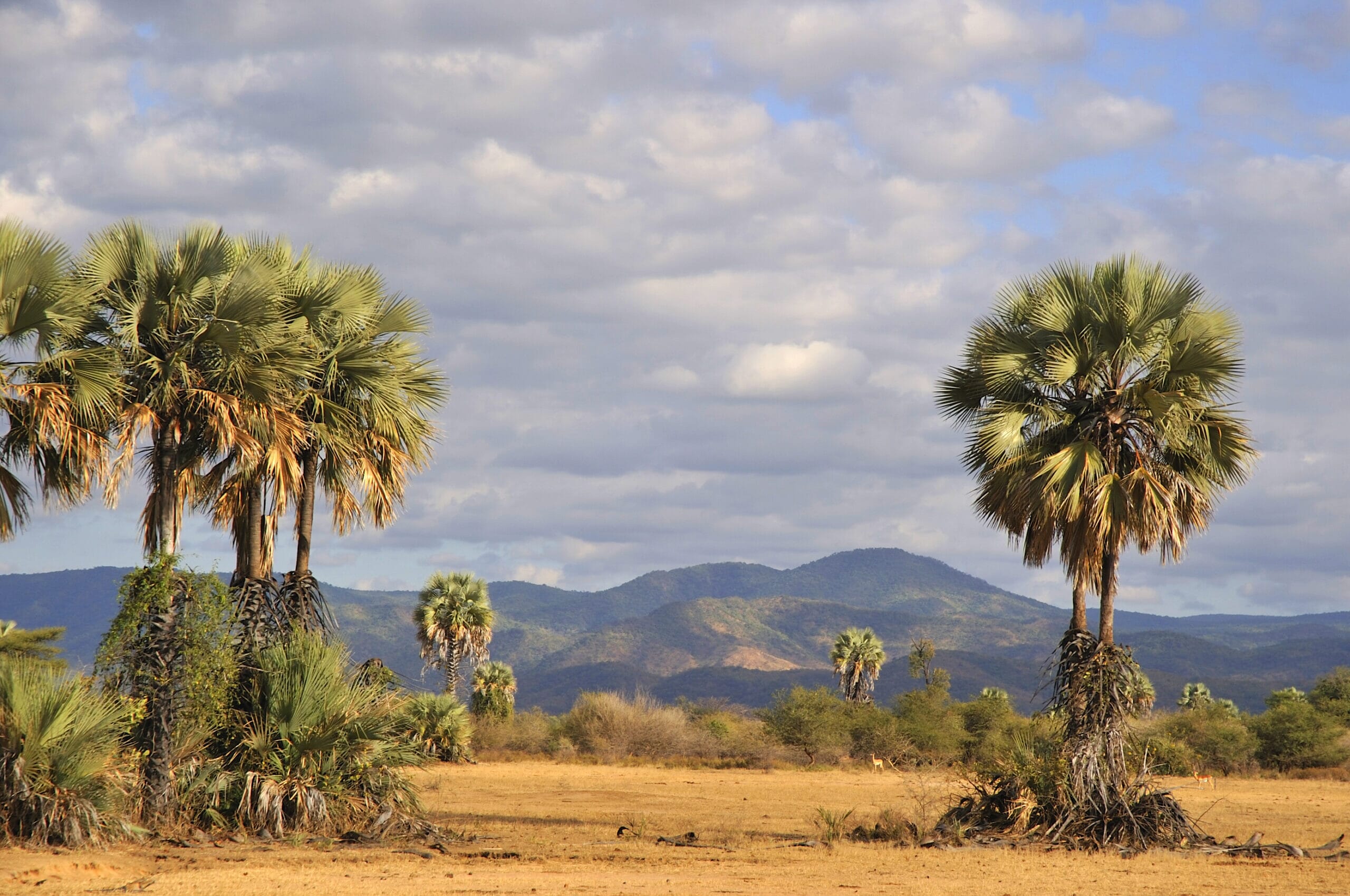 CLZ-6-scaled.jpg?w=400&h=266&scale