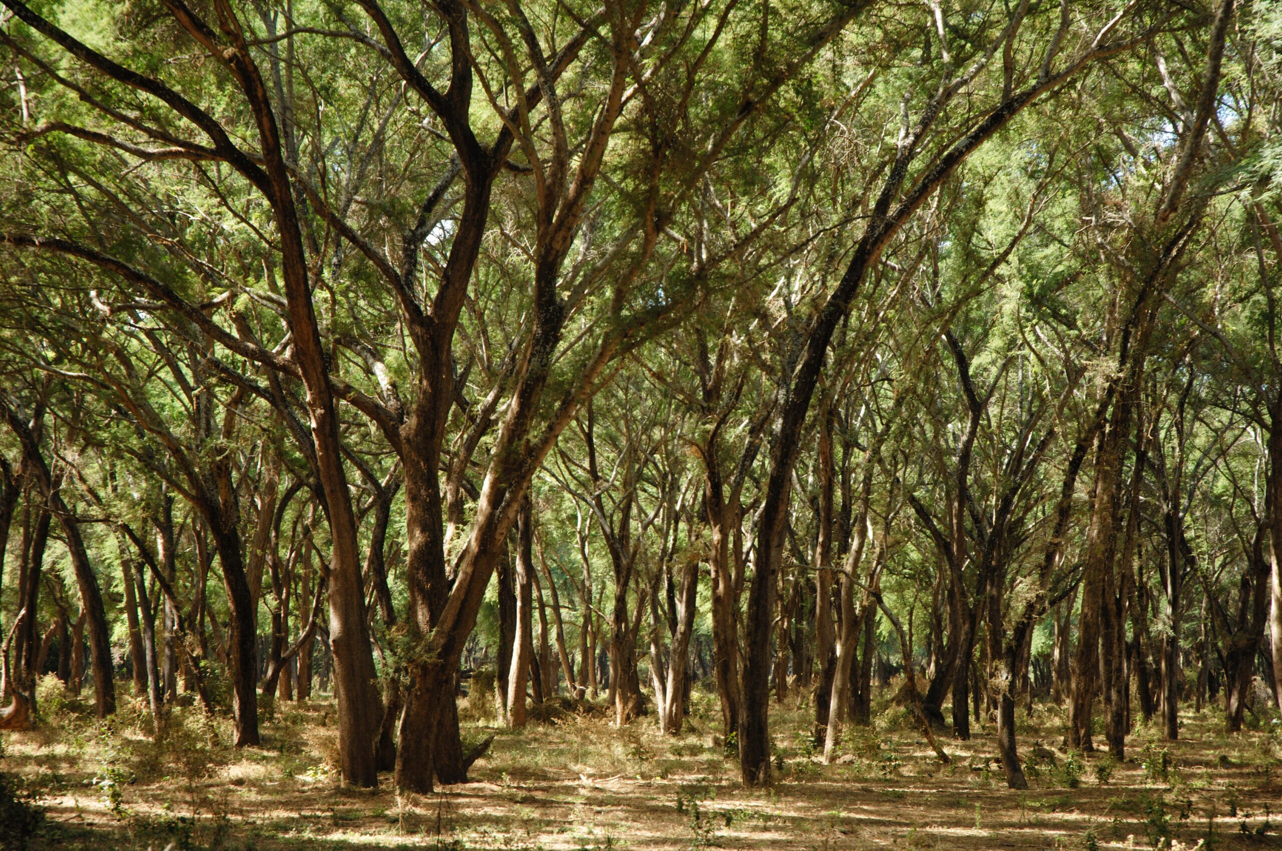 Copy-of-CLZ-16-scaled.jpg?w=400&h=266&scale