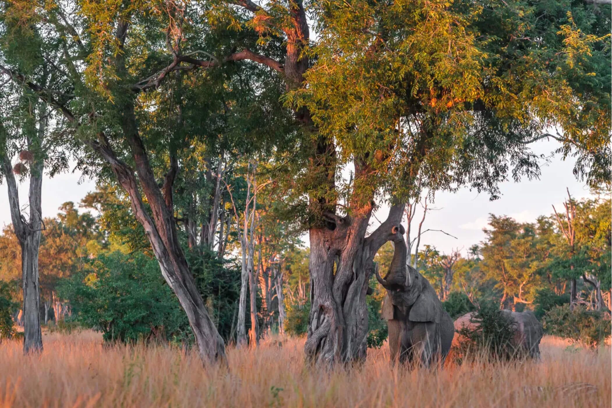 article-6.jpg?w=1024&h=682&scale