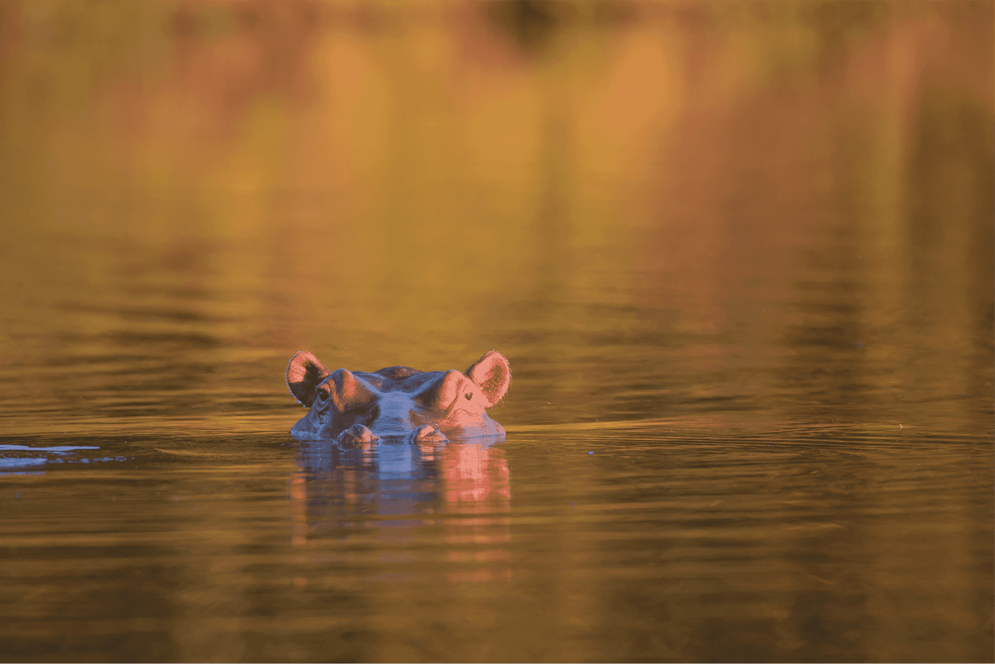 full-bleed-2 full-bleed-2