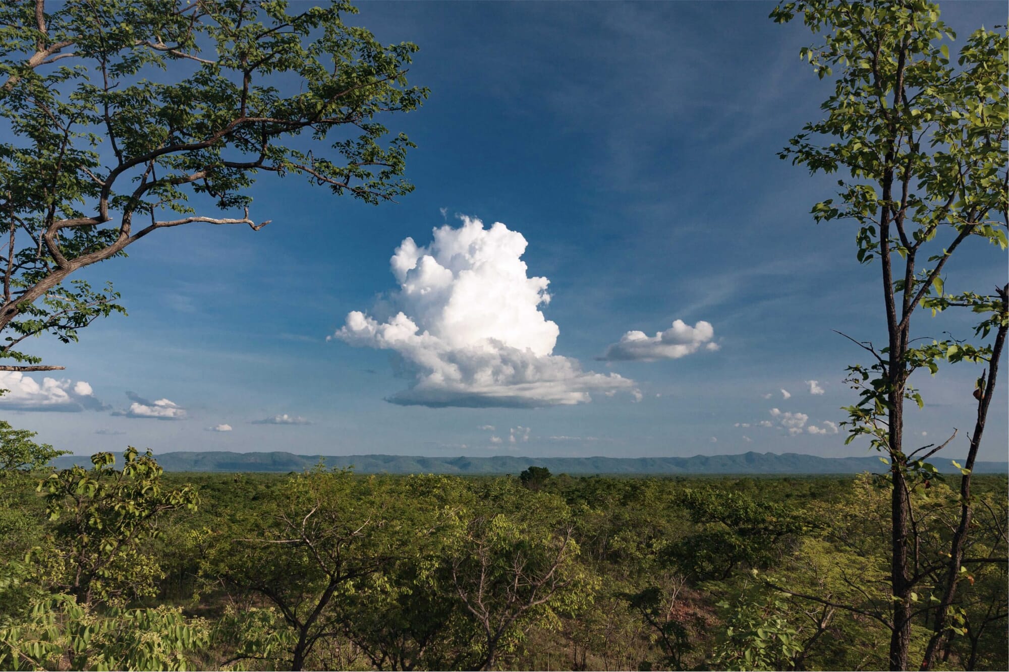 project-1-hero-scaled