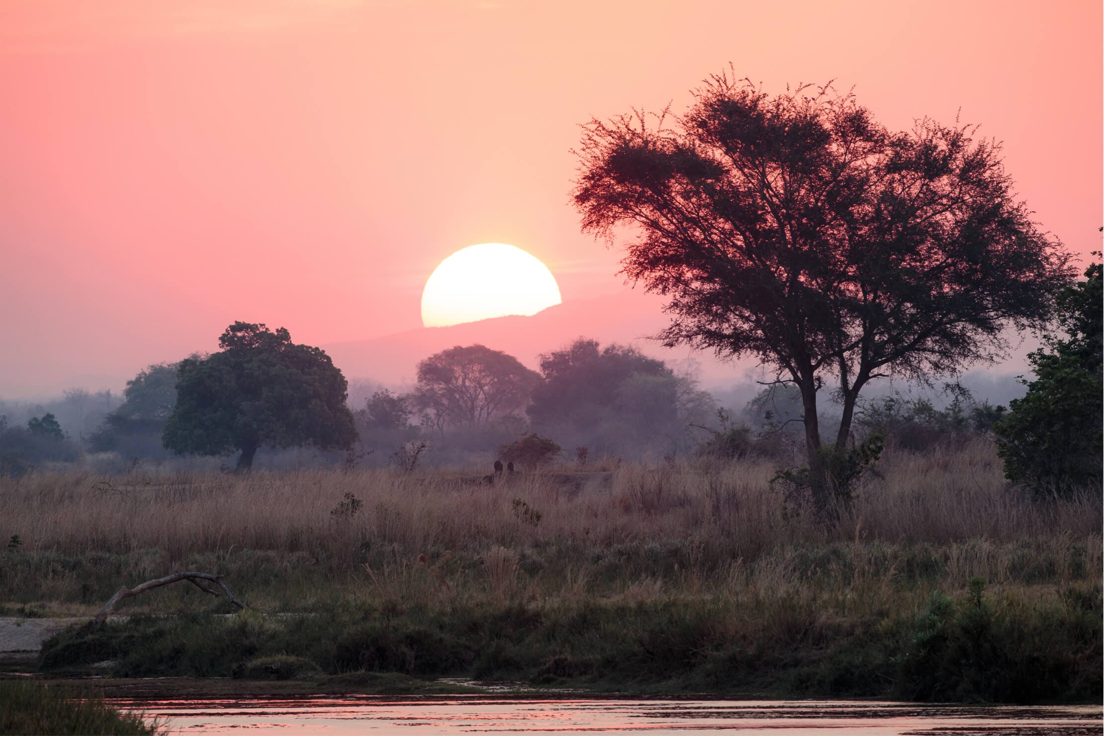 Luangwa