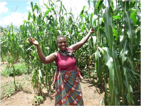 small-circle-image-6