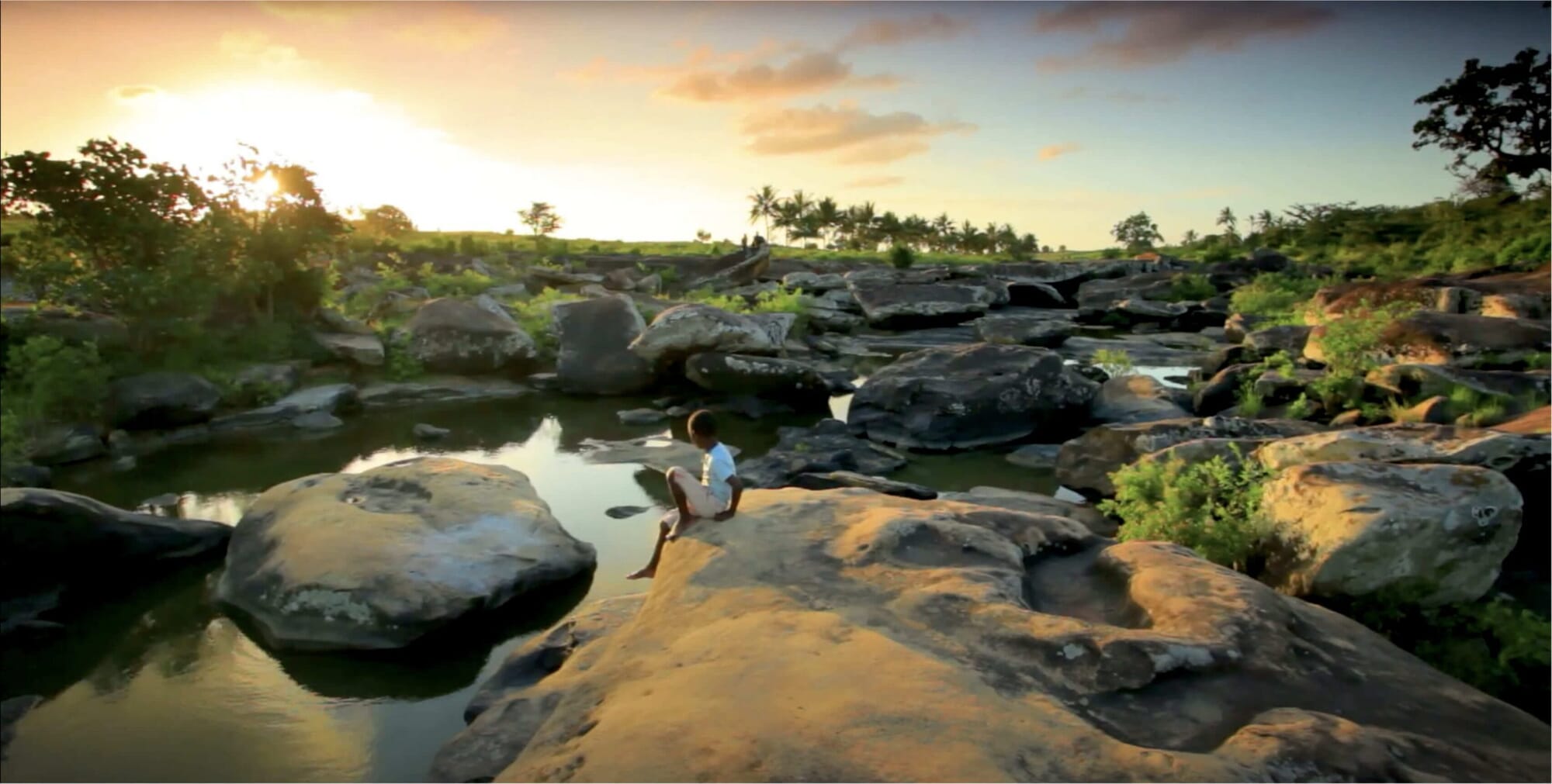 REDD+ Project Africa REDD+ Project Africa