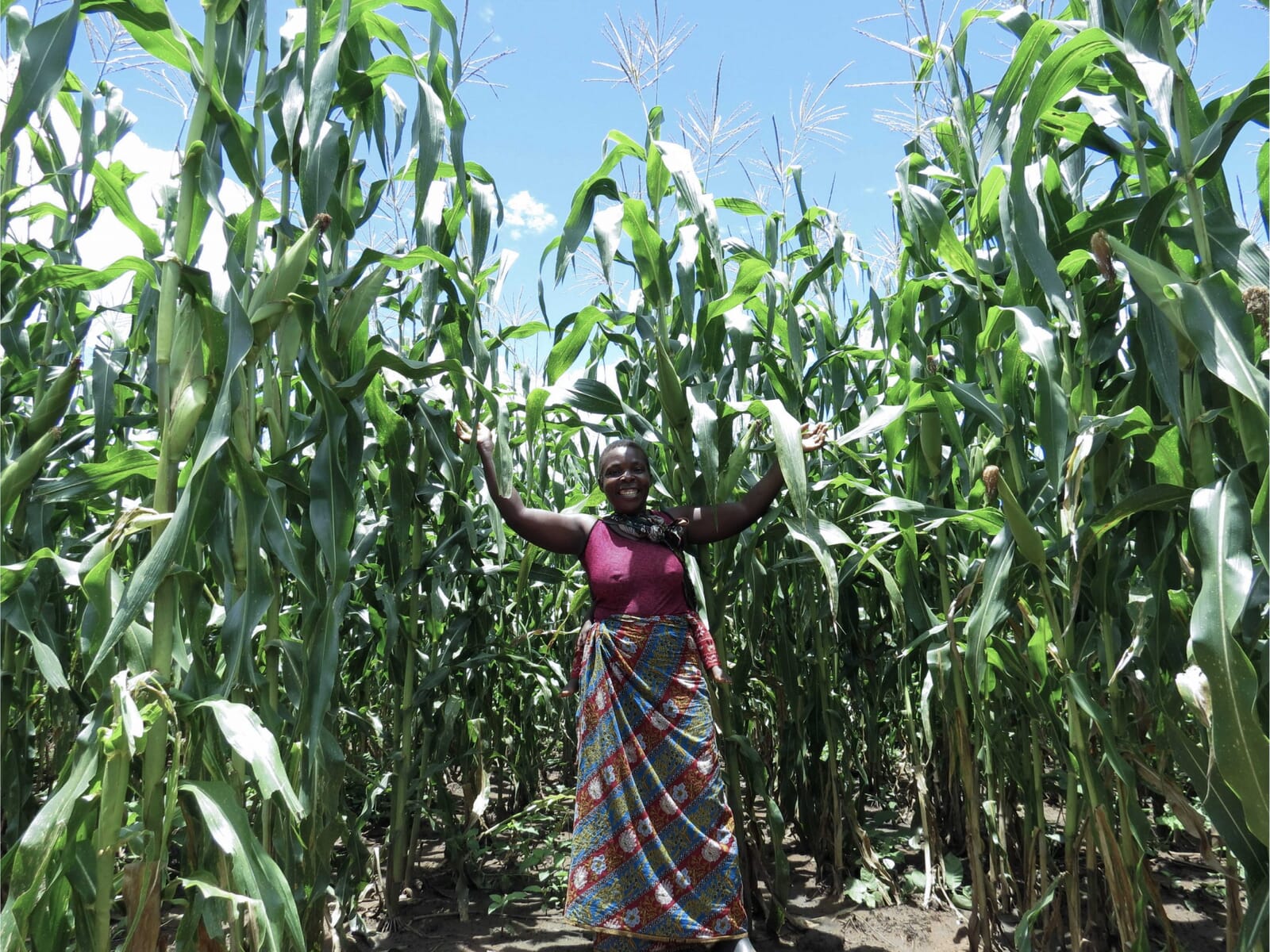 what-we-do-hero-scaled what-we-do-hero-scaled