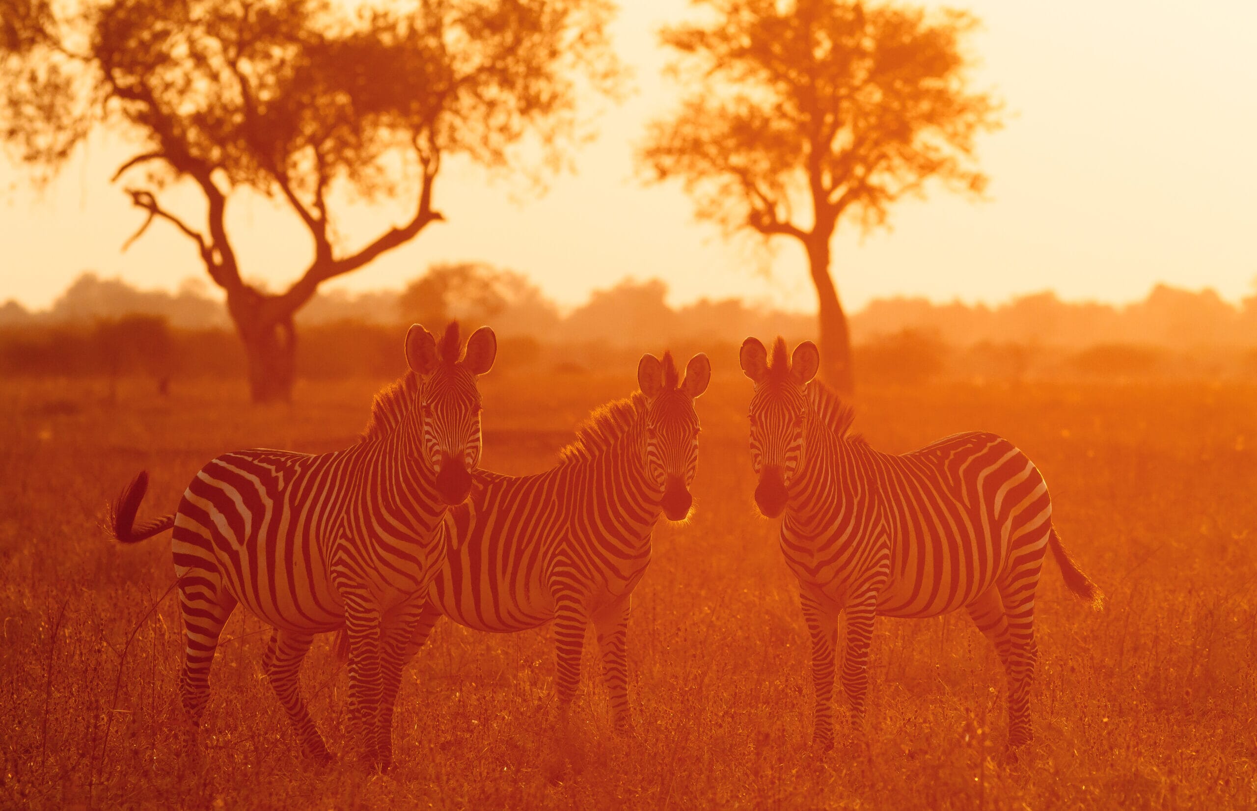 130723_0634_06-scaled.jpg?w=600&h=387&scale