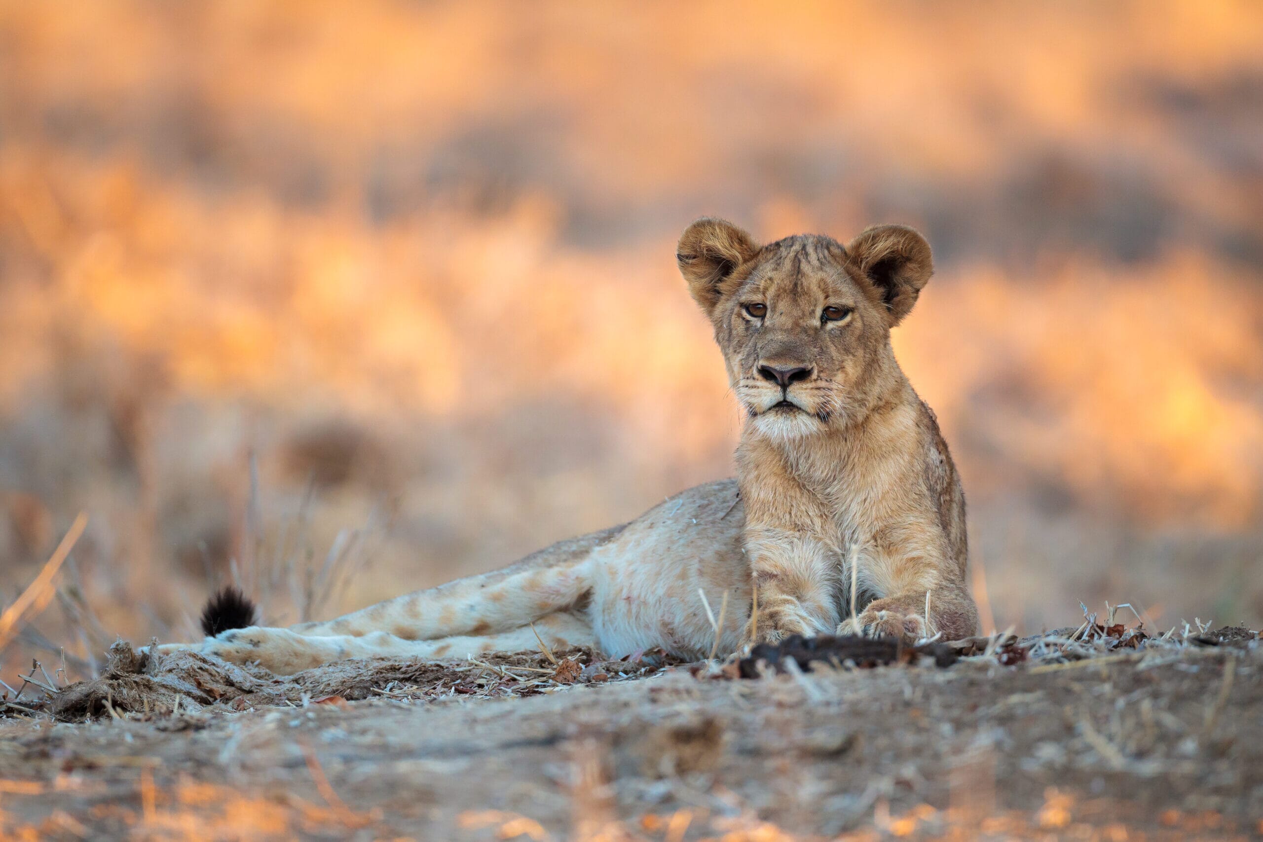 140724_1717_17-scaled.jpg?w=1800&h=1200&scale