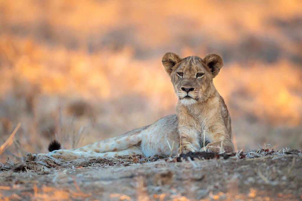 140724_1717_17-scaled.jpg?w=1024&h=683&scale 140724_1717_17-scaled.jpg?w=1024&h=683&scale