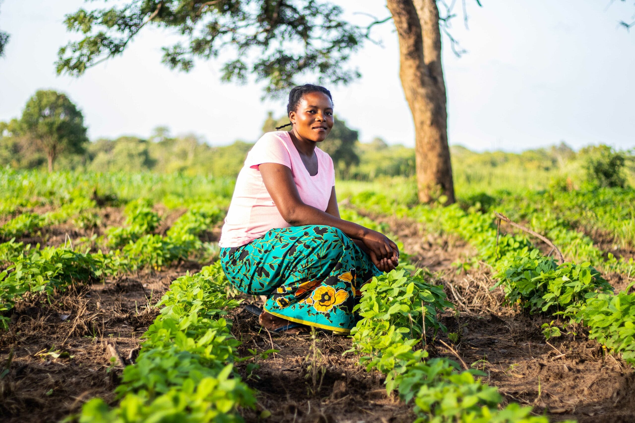 IMG_1116-scaled.jpg?w=2000&h=1333&scale