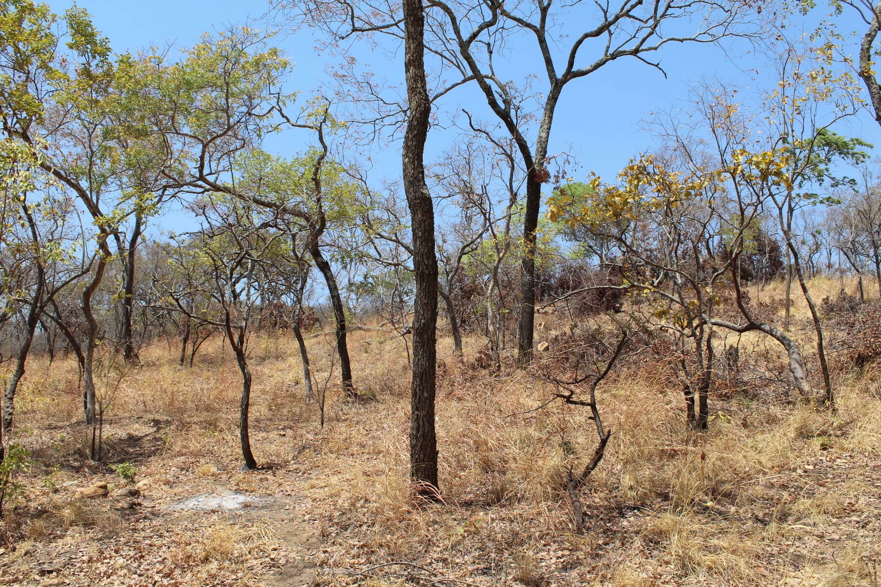 IMG_8023-scaled.jpg?w=1800&h=1200&scale IMG_8023-scaled.jpg?w=1800&h=1200&scale