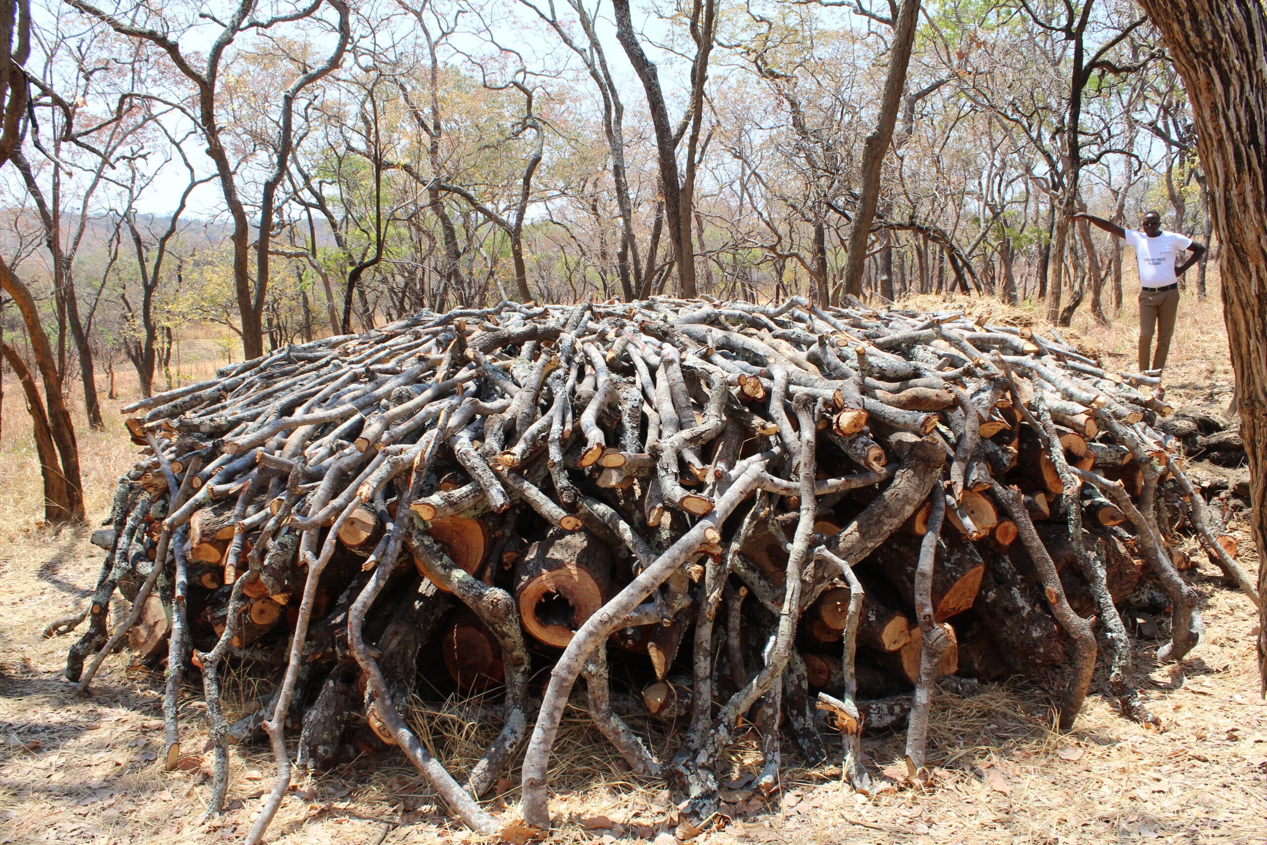 IMG_8031-scaled.jpg?w=2000&h=1333&scale