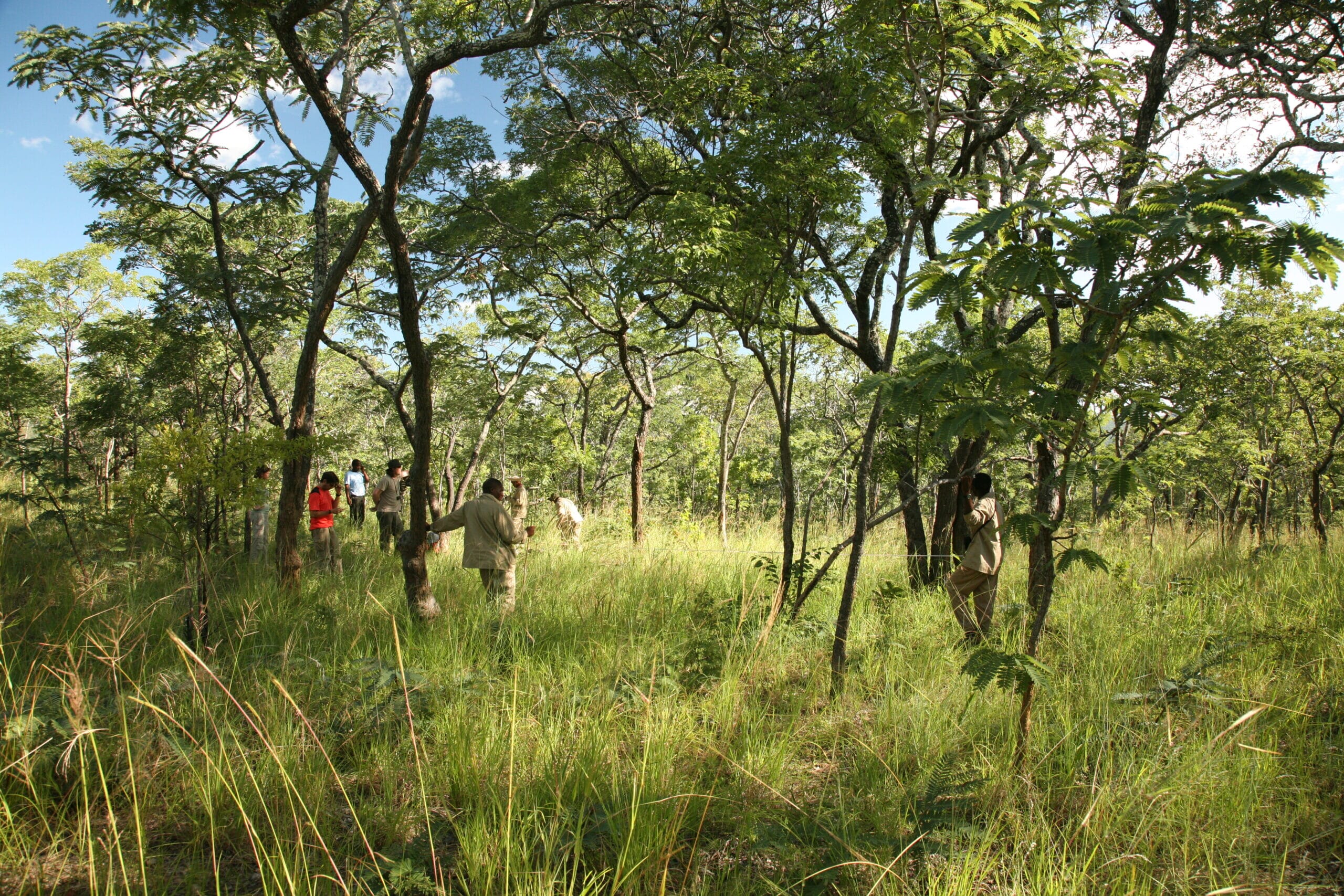 IMG_9846-scaled.jpg?w=2000&h=1333&scale