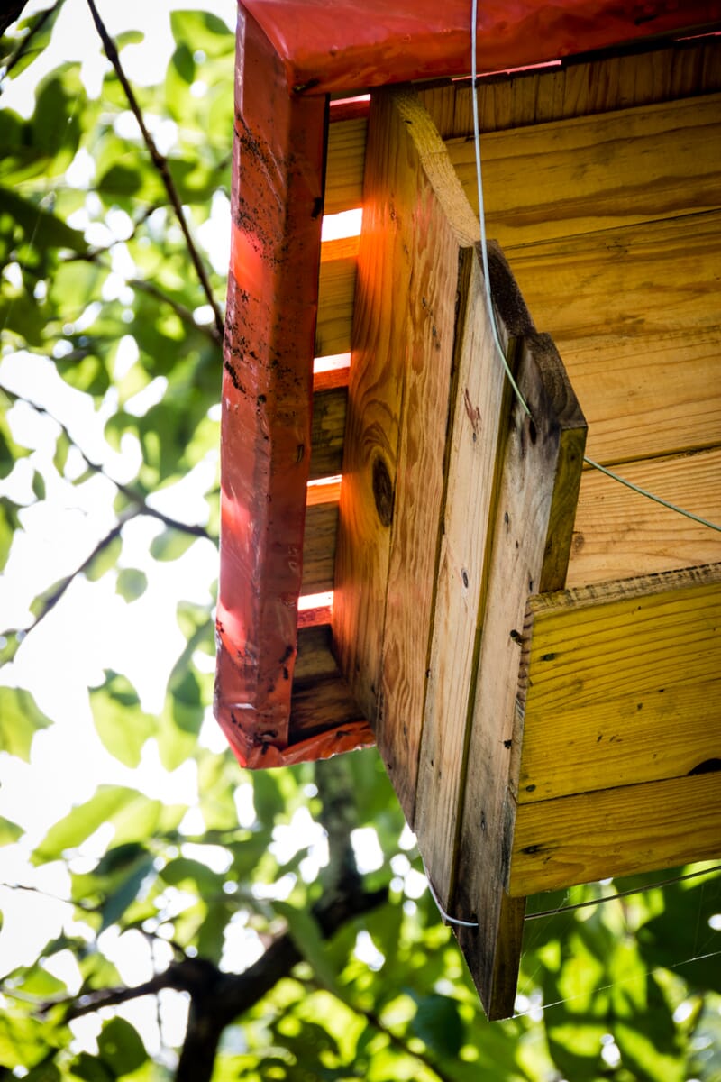 MG_0588.jpg?w=800&h=1200&scale MG_0588.jpg?w=800&h=1200&scale