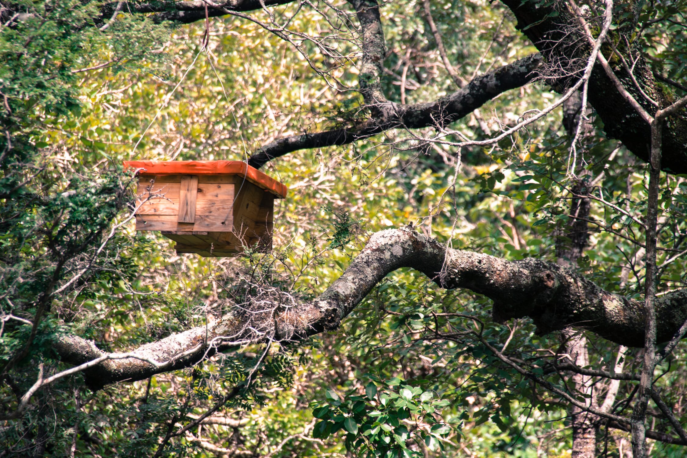 MG_0596.jpg?w=1800&h=1200&scale