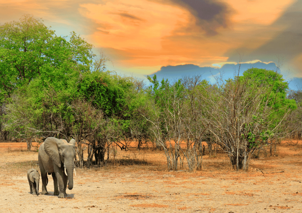 Untitled-design-49 Untitled-design-49