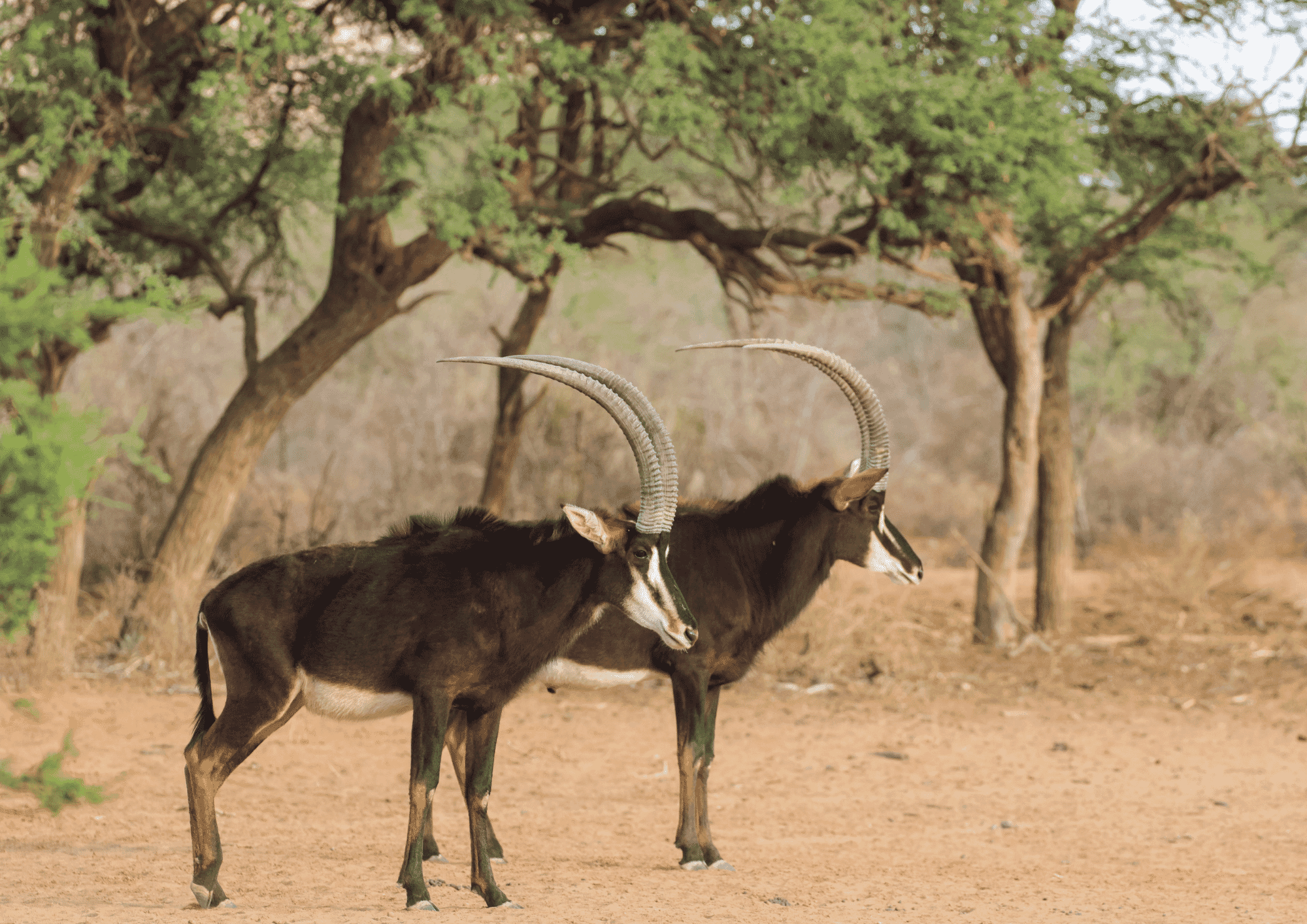 Untitled-design-65.png?w=1697&h=1200&scale