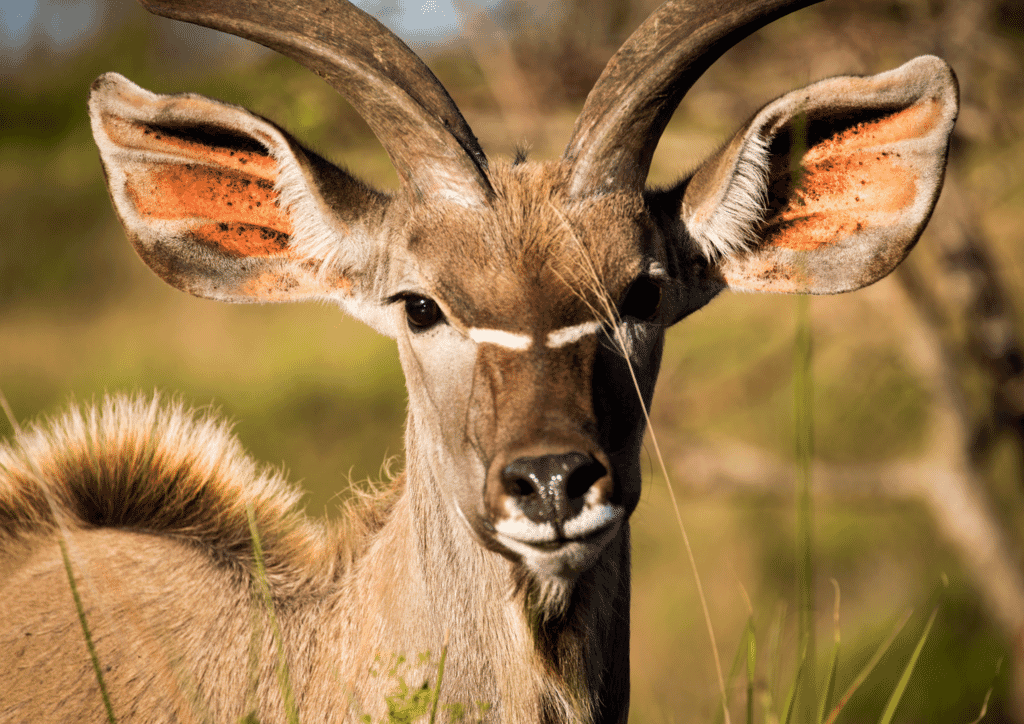 Untitled-design-66.png?w=1024&h=724&scale Untitled-design-66.png?w=1024&h=724&scale