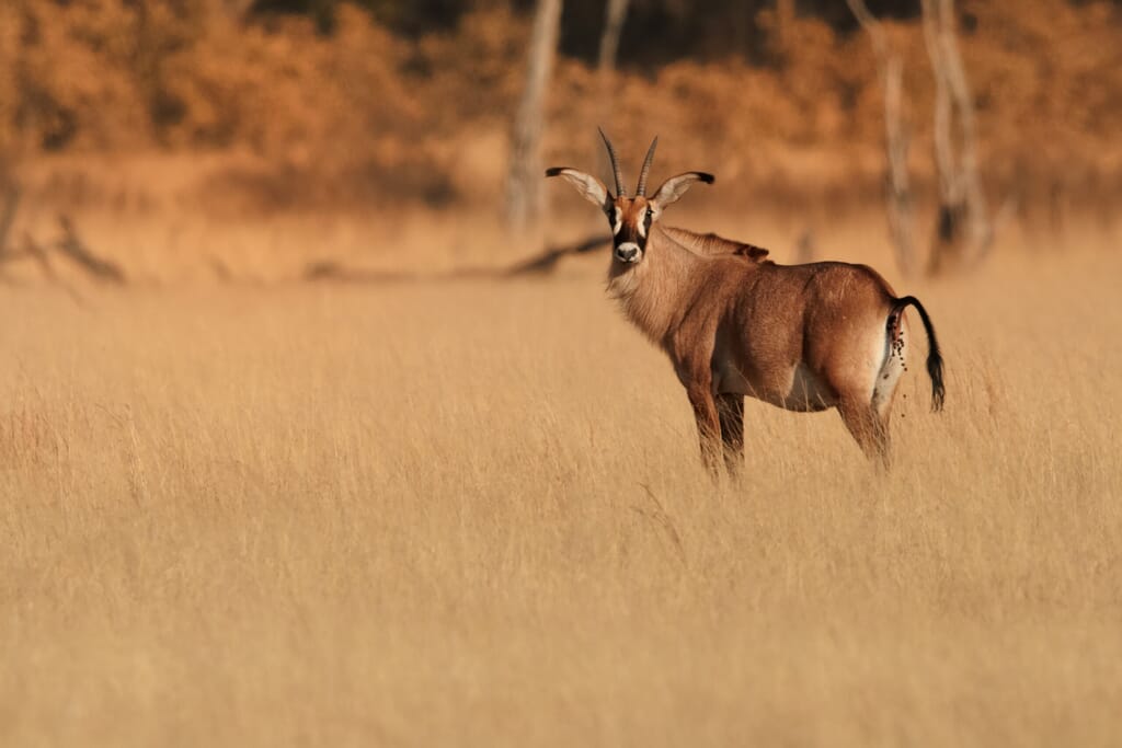 shutterstock_365902508-scaled.jpg?w=1024&h=683&scale shutterstock_365902508-scaled.jpg?w=1024&h=683&scale