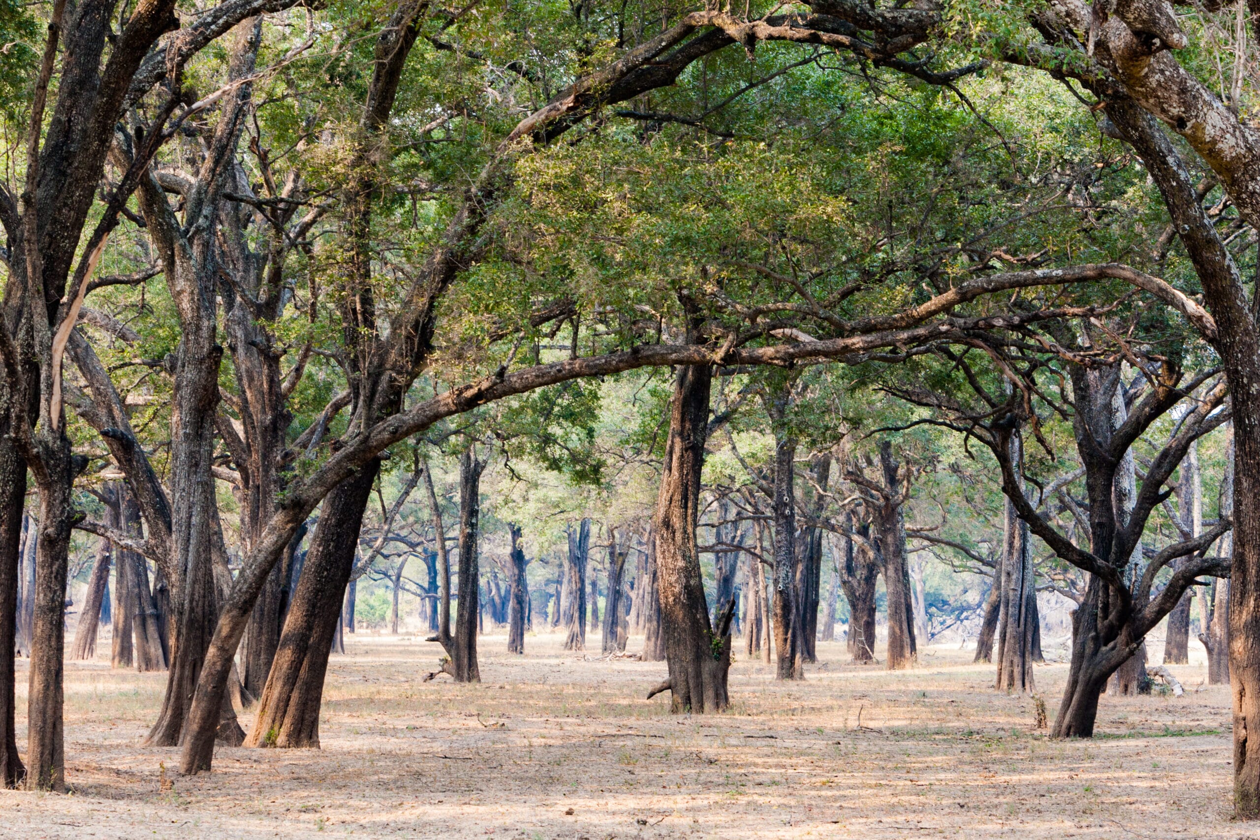 120808_1418_0319-scaled.jpg?w=1800&h=1200&scale