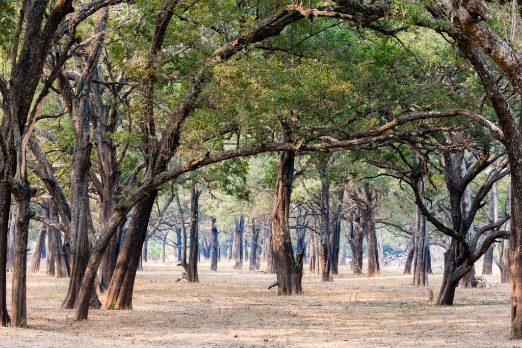 120808_1418_0319-scaled.jpg?w=1024&h=683&scale 120808_1418_0319-scaled.jpg?w=1024&h=683&scale