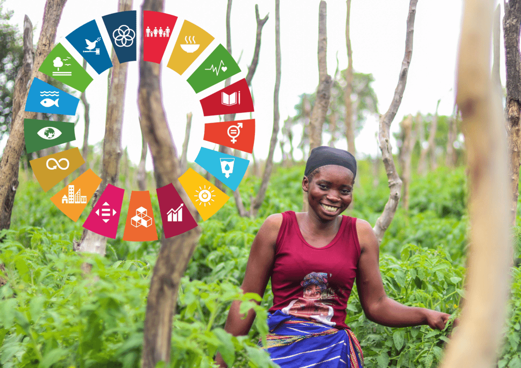 Untitled-design-61.png?w=1024&h=724&scale Untitled-design-61.png?w=1024&h=724&scale