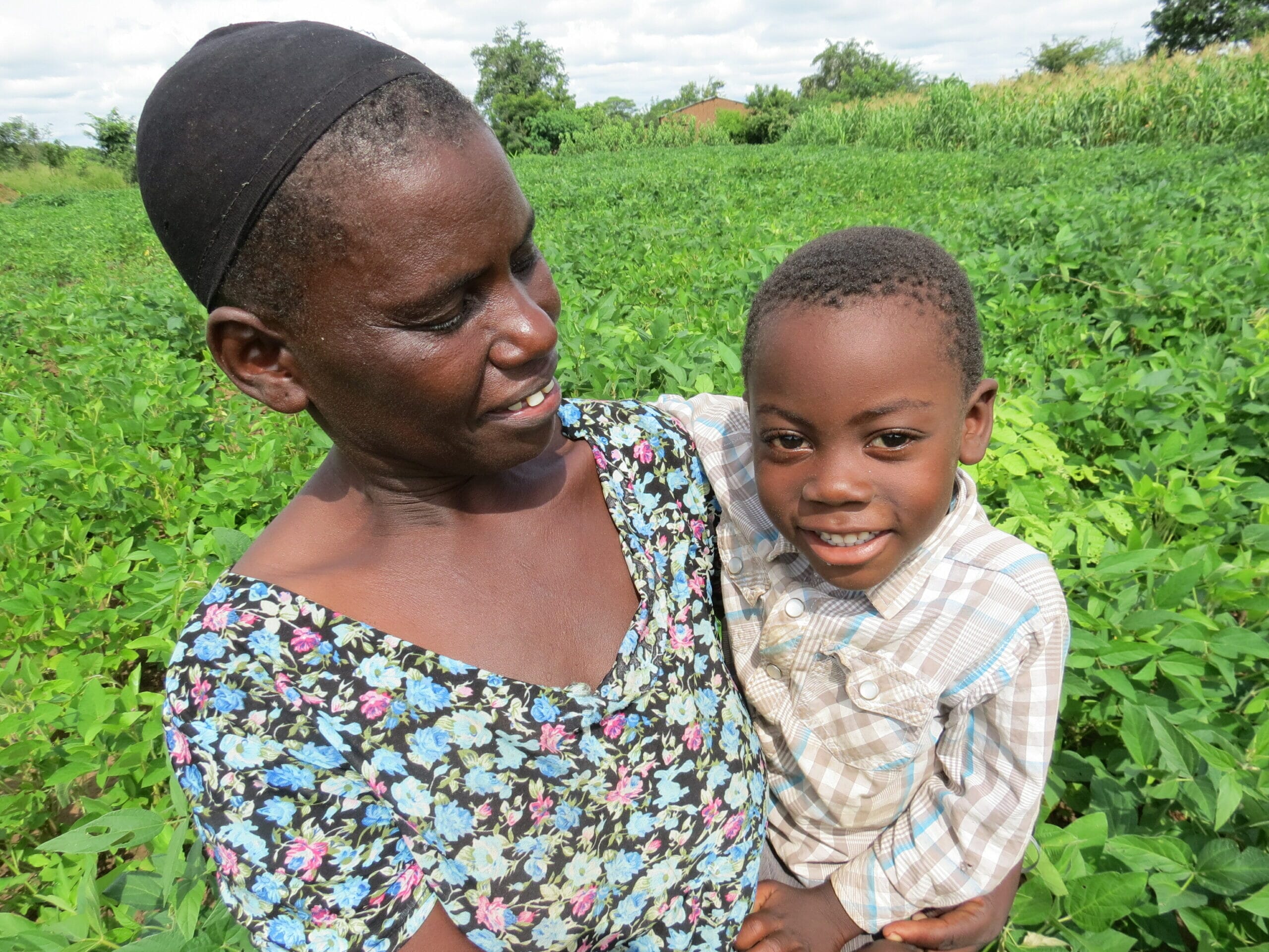 Carbon Offset Forestry Projects