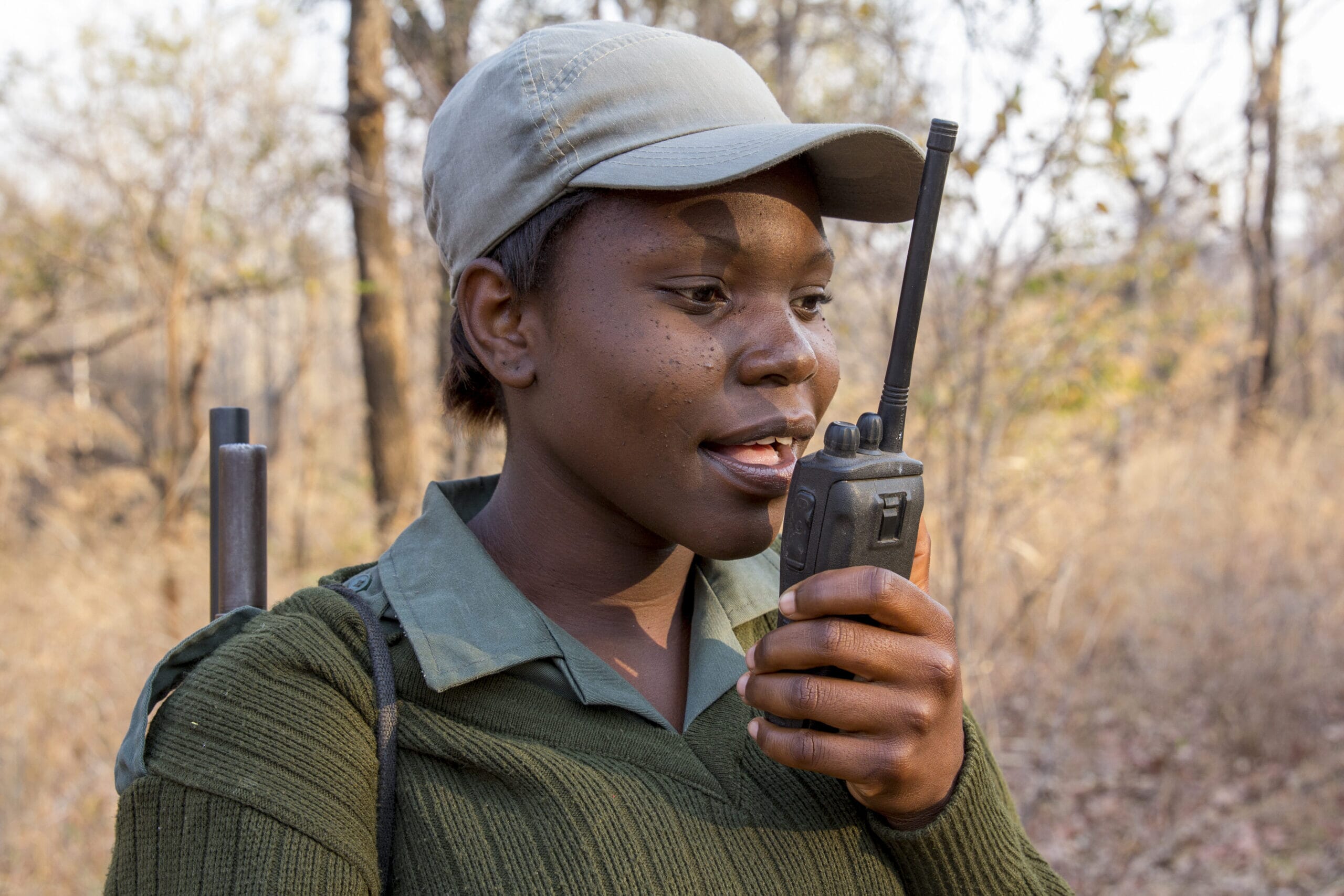Carbon Offset Forestry Projects