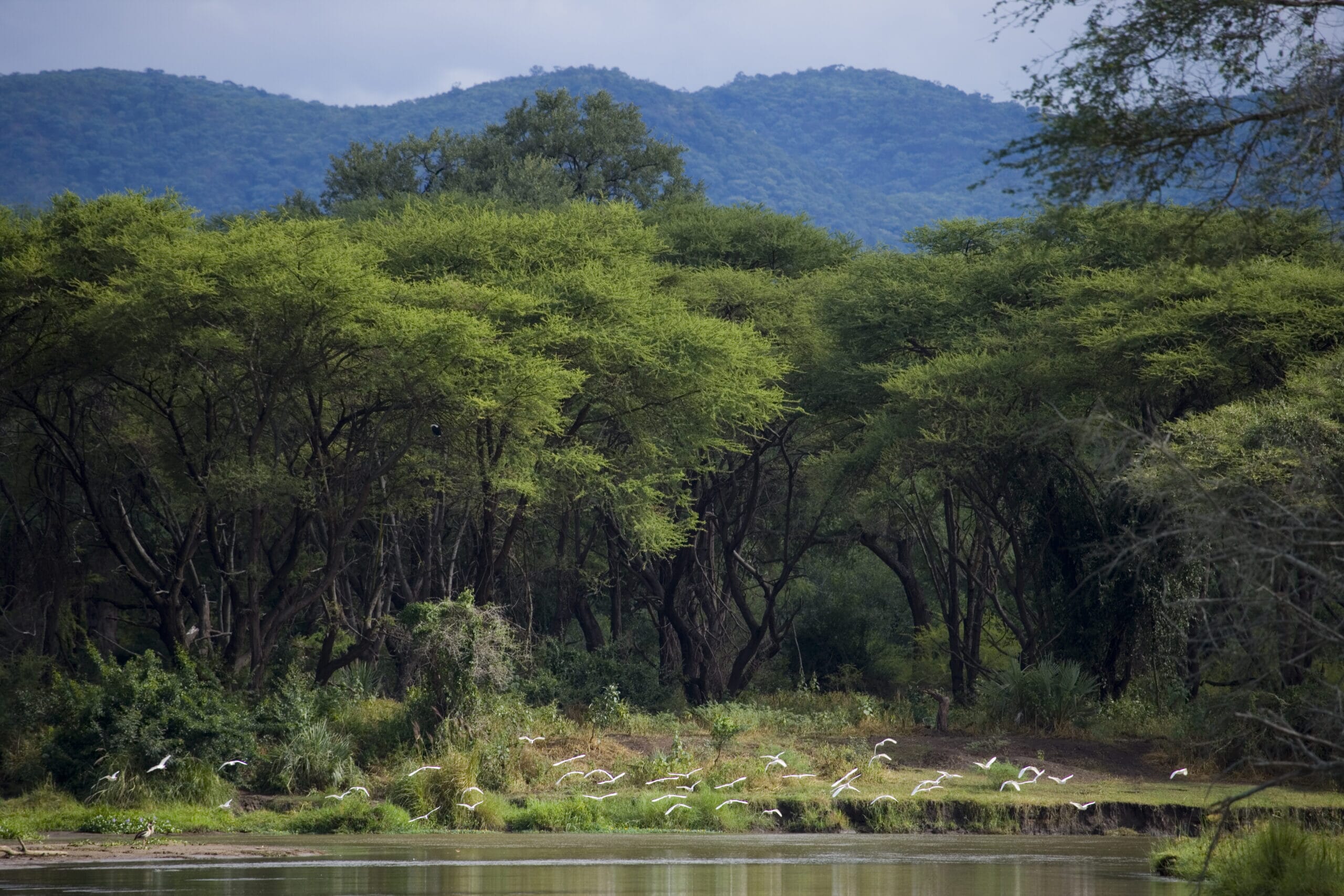 Baines16-scaled.jpg?w=1800&h=1200&scale