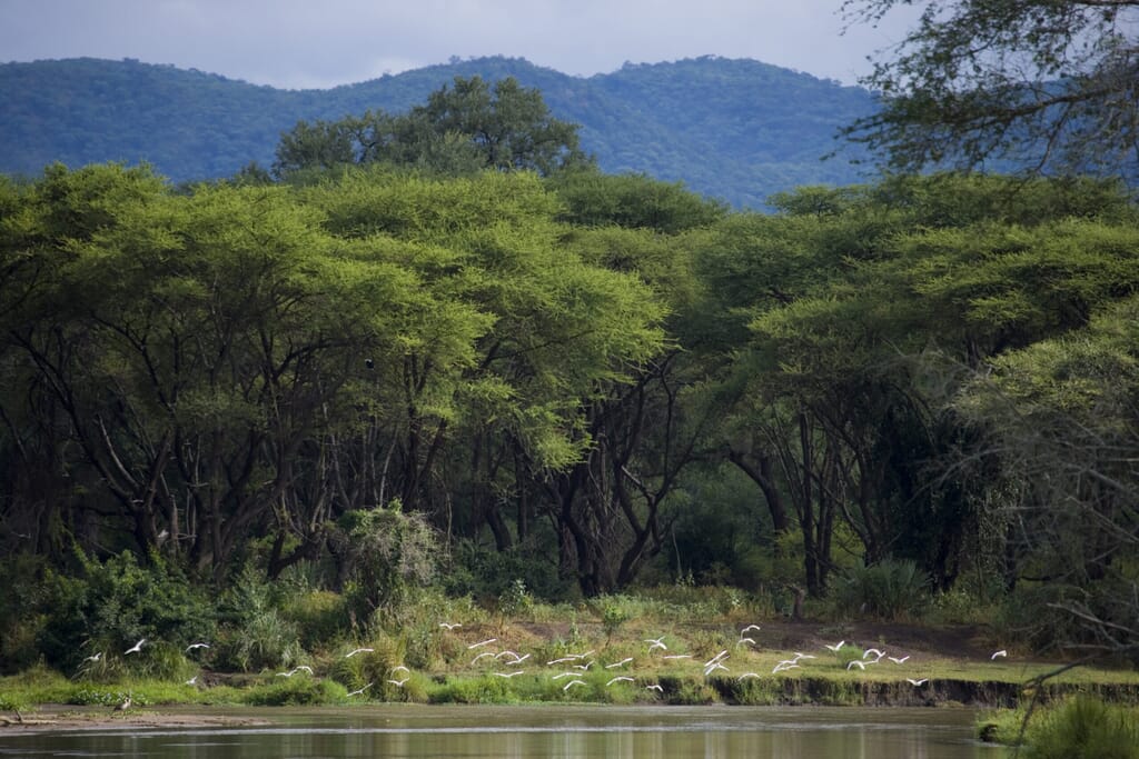 Baines16-scaled.jpg?w=1024&h=683&scale Baines16-scaled.jpg?w=1024&h=683&scale