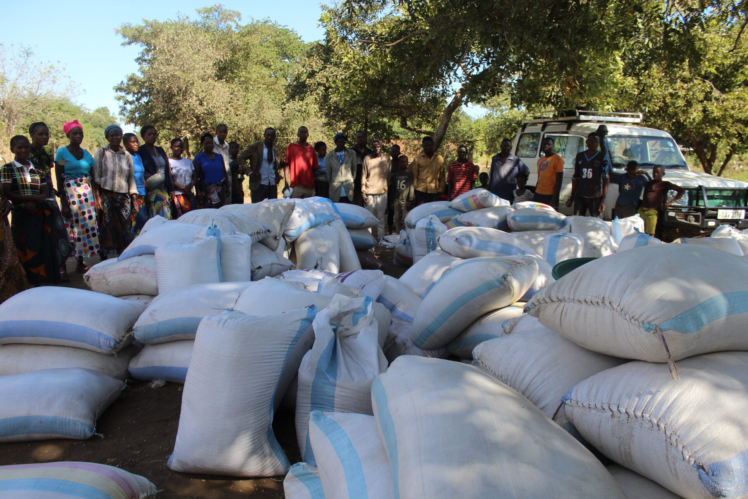 IMG_0398-scaled.jpg?w=1800&h=1200&scale