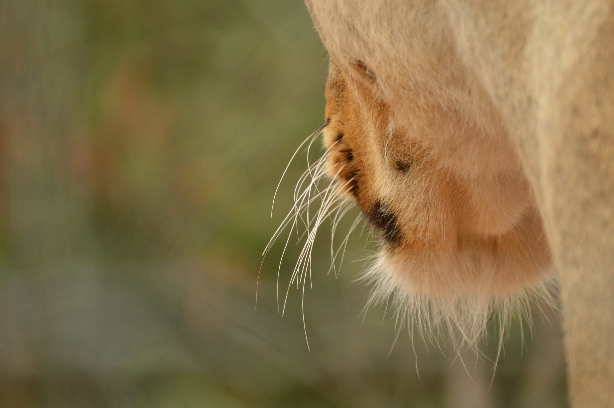 DSC_0817-scaled.jpg?w=1024&h=681&scale