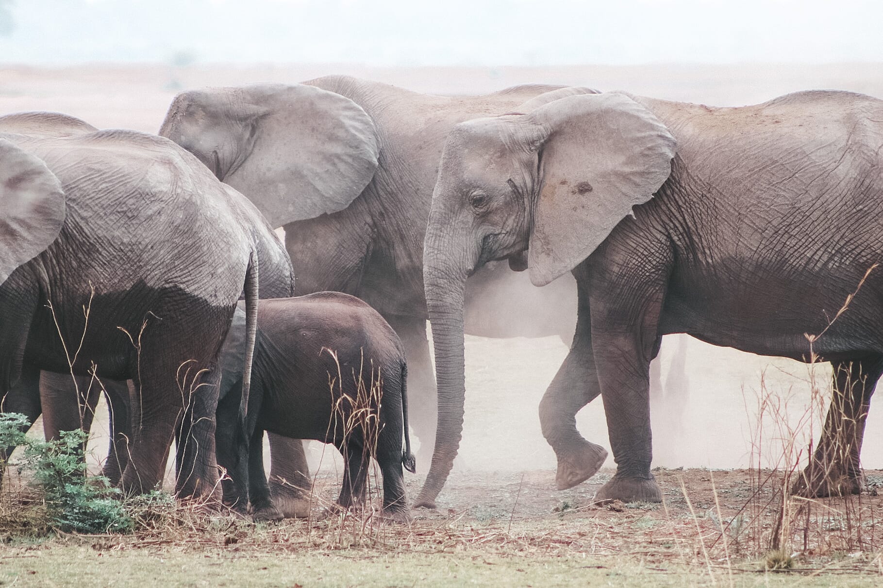 IMG_6731.jpg?w=1800&h=1200&scale