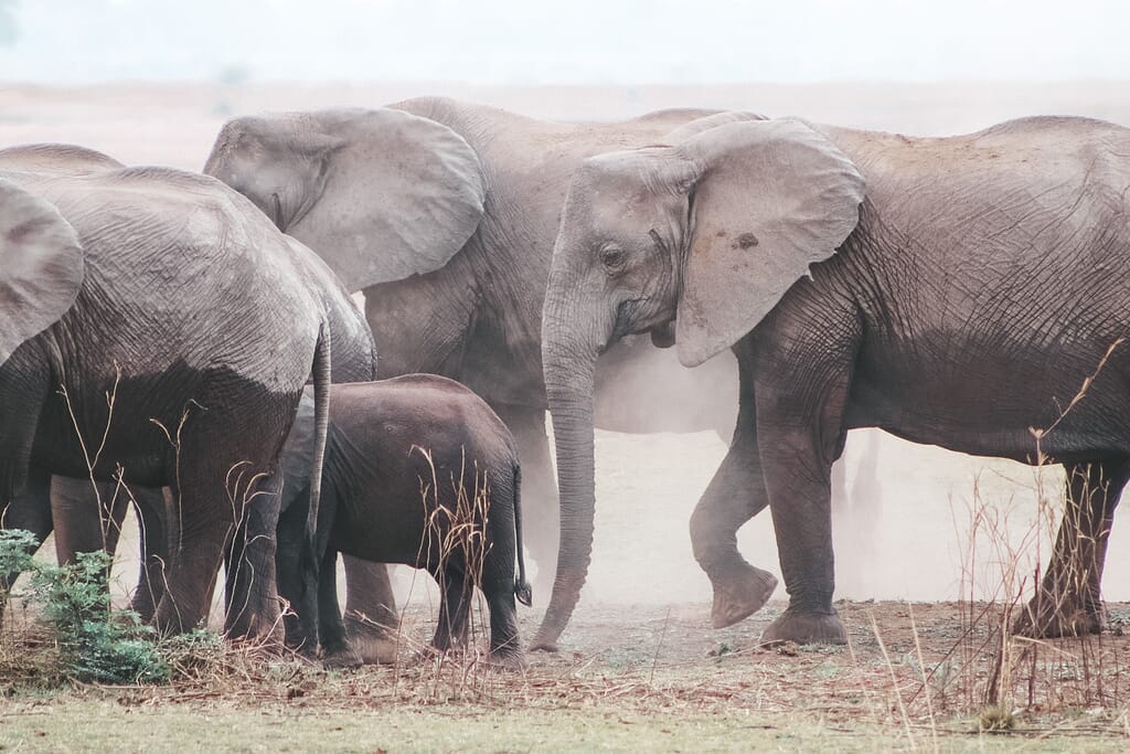 IMG_6731.jpg?w=1024&h=683&scale IMG_6731.jpg?w=1024&h=683&scale