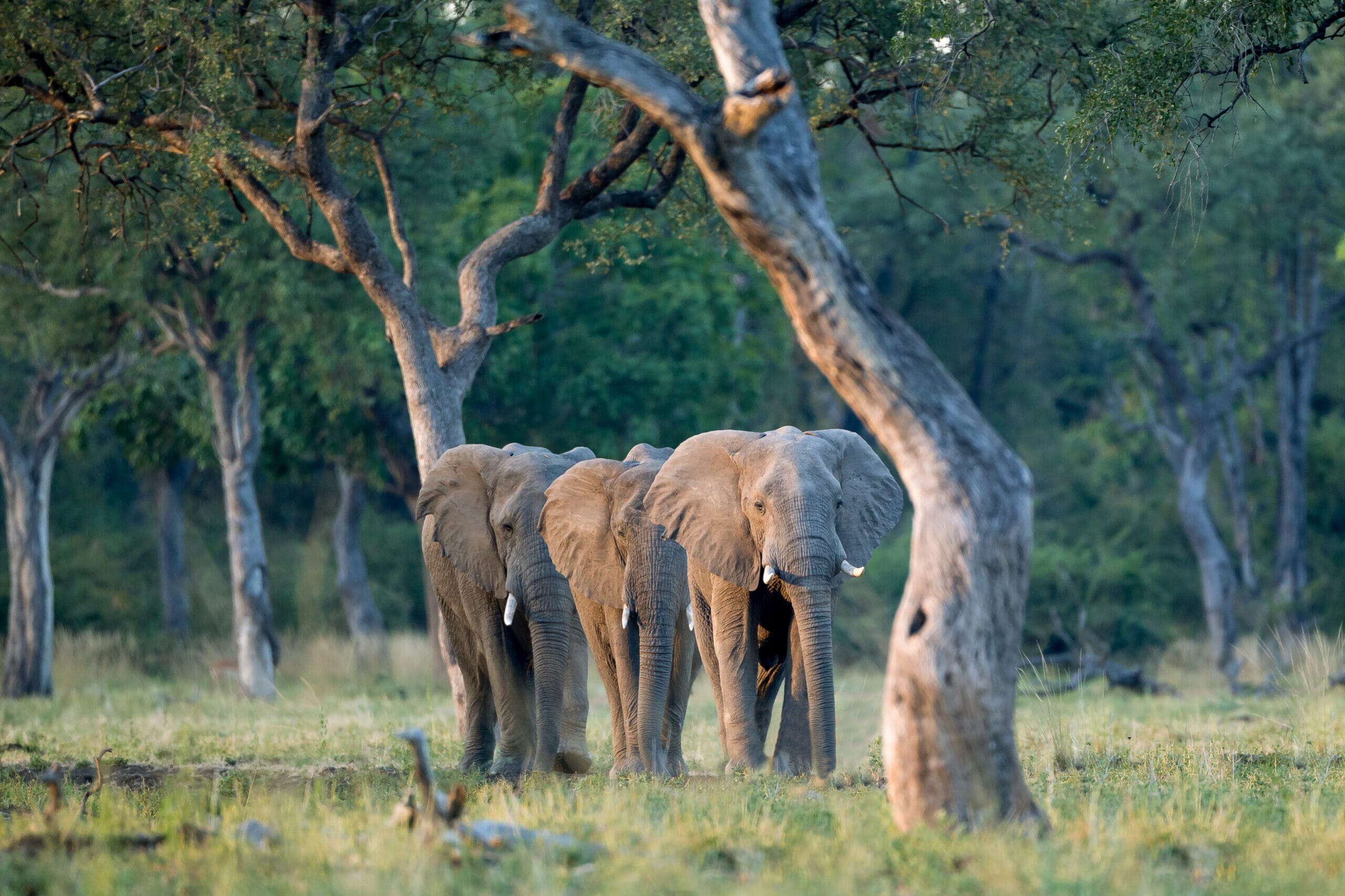 130427_1719_-scaled.jpg?w=1800&h=1200&scale