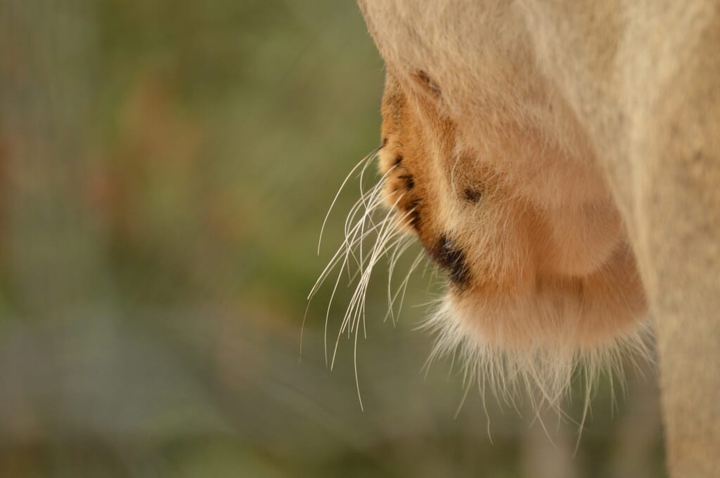 DSC_0817-scaled.jpg?w=1024&h=681&scale DSC_0817-scaled.jpg?w=1024&h=681&scale