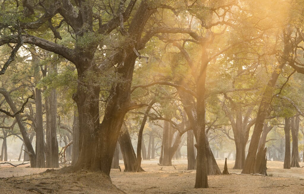 Patrick-Bentley-Photography-scaled.jpg?w=1024&h=654&scale Patrick-Bentley-Photography-scaled.jpg?w=1024&h=654&scale