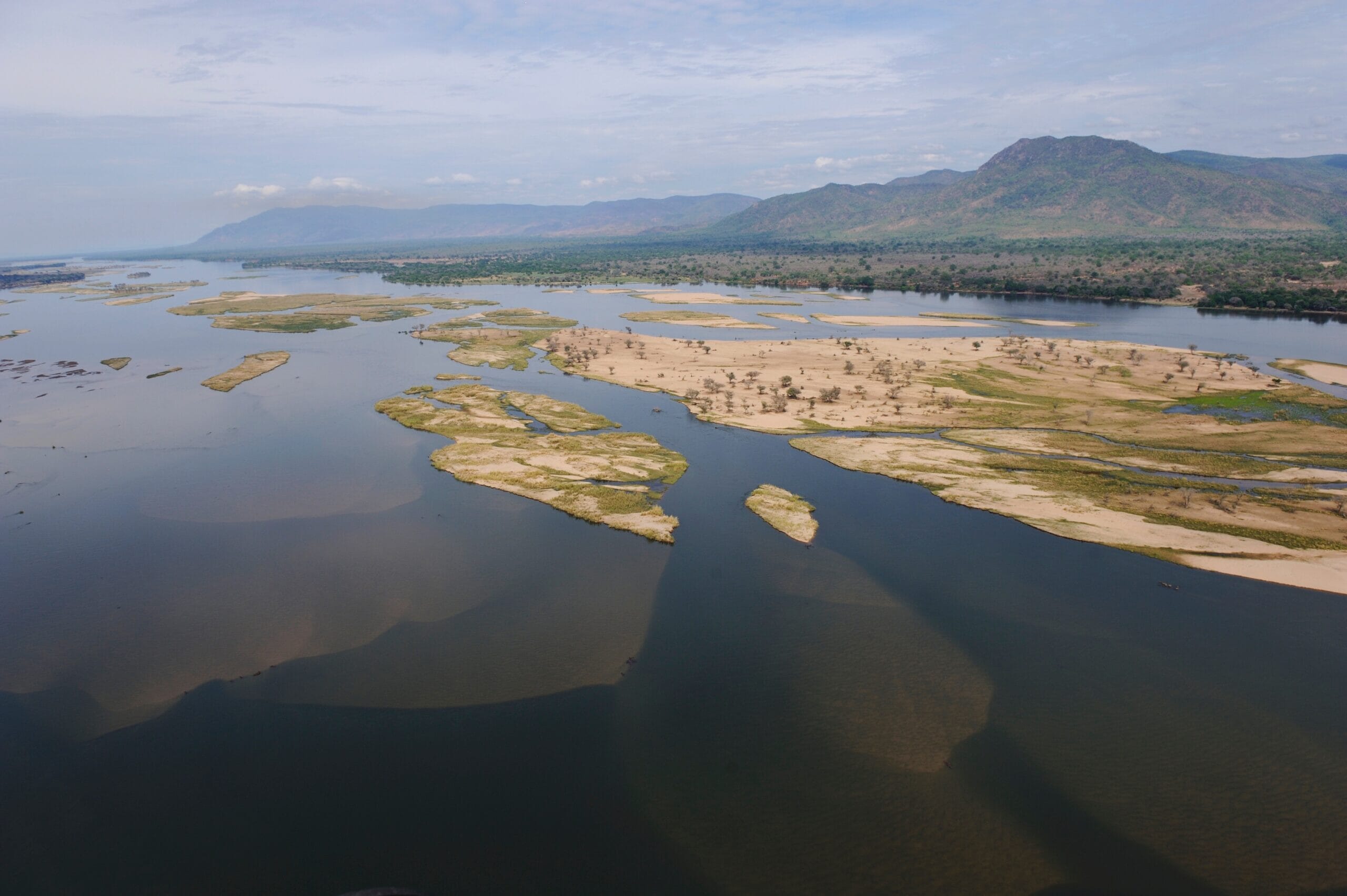 DSC6204-scaled.jpg?w=1800&h=1198&scale