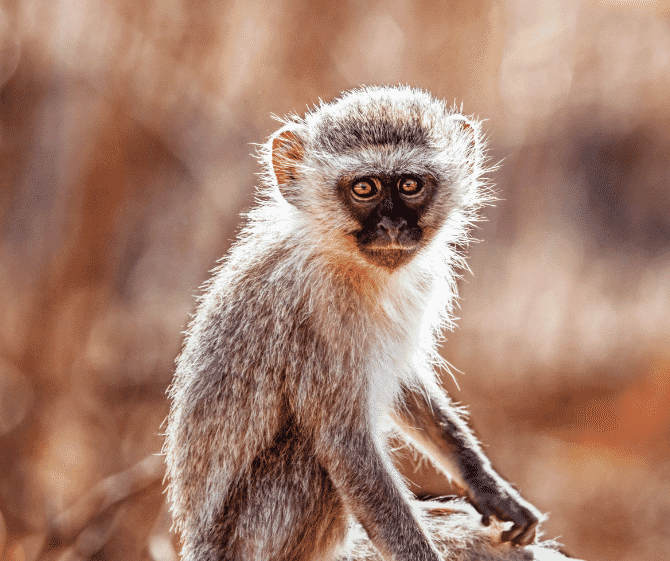 Screenshot-2024-06-18-121623 Screenshot-2024-06-18-121623