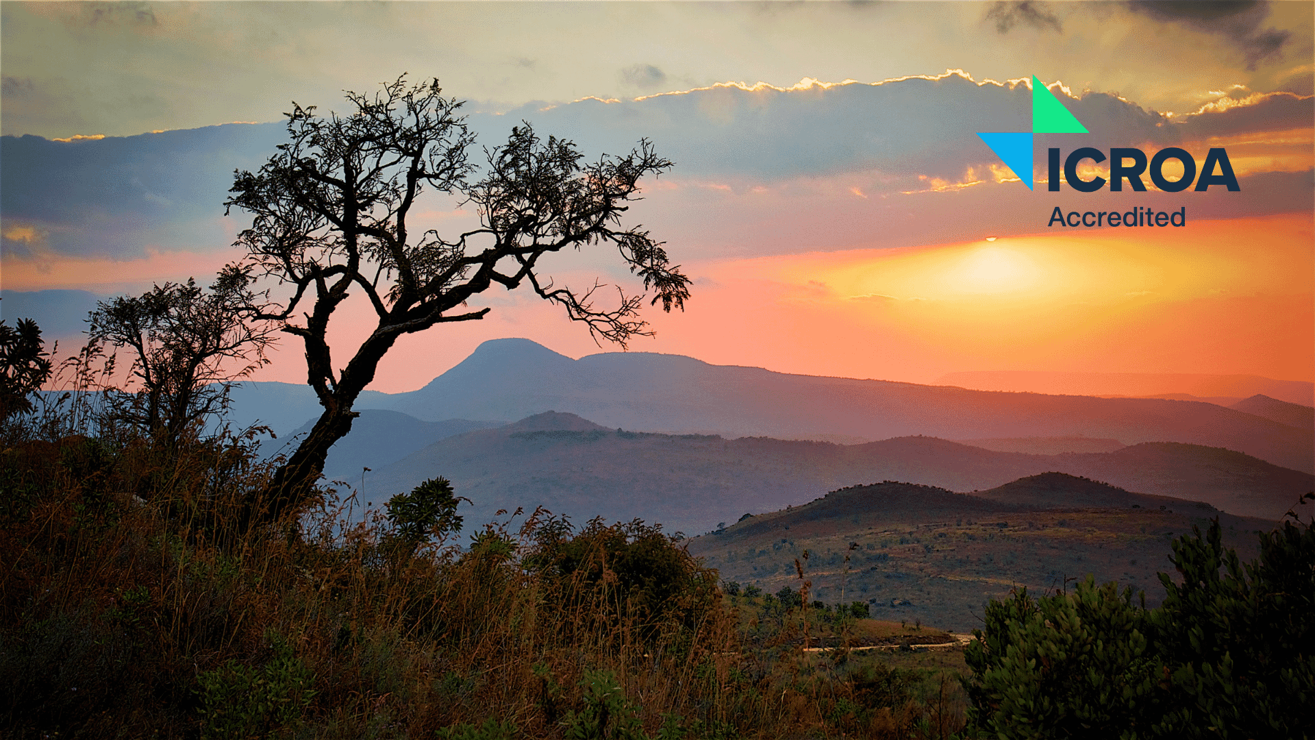 linkedin-newsletter-1.png?w=1024&h=576&scale