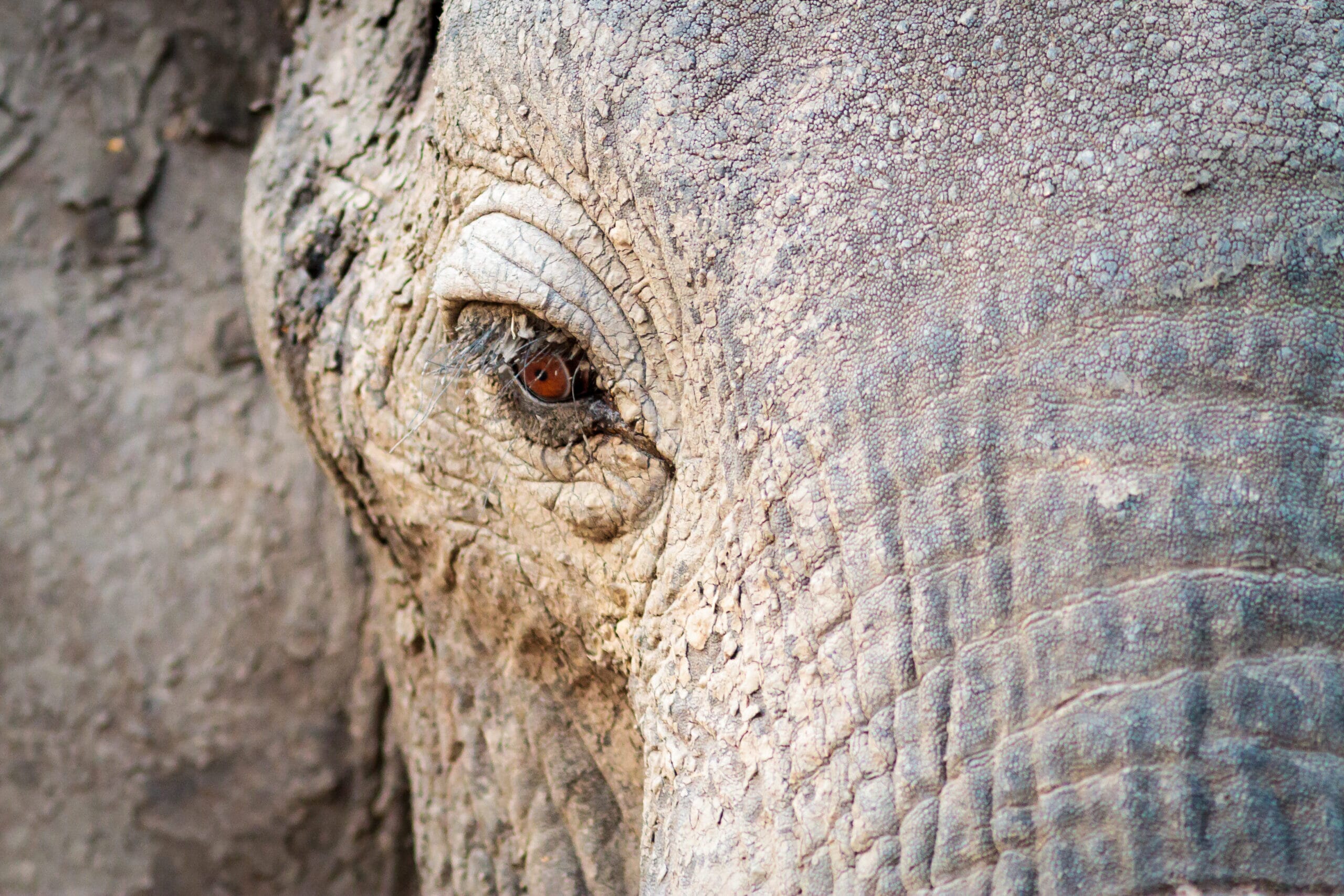 111101_1731_17-scaled.jpg?w=1800&h=1200&scale