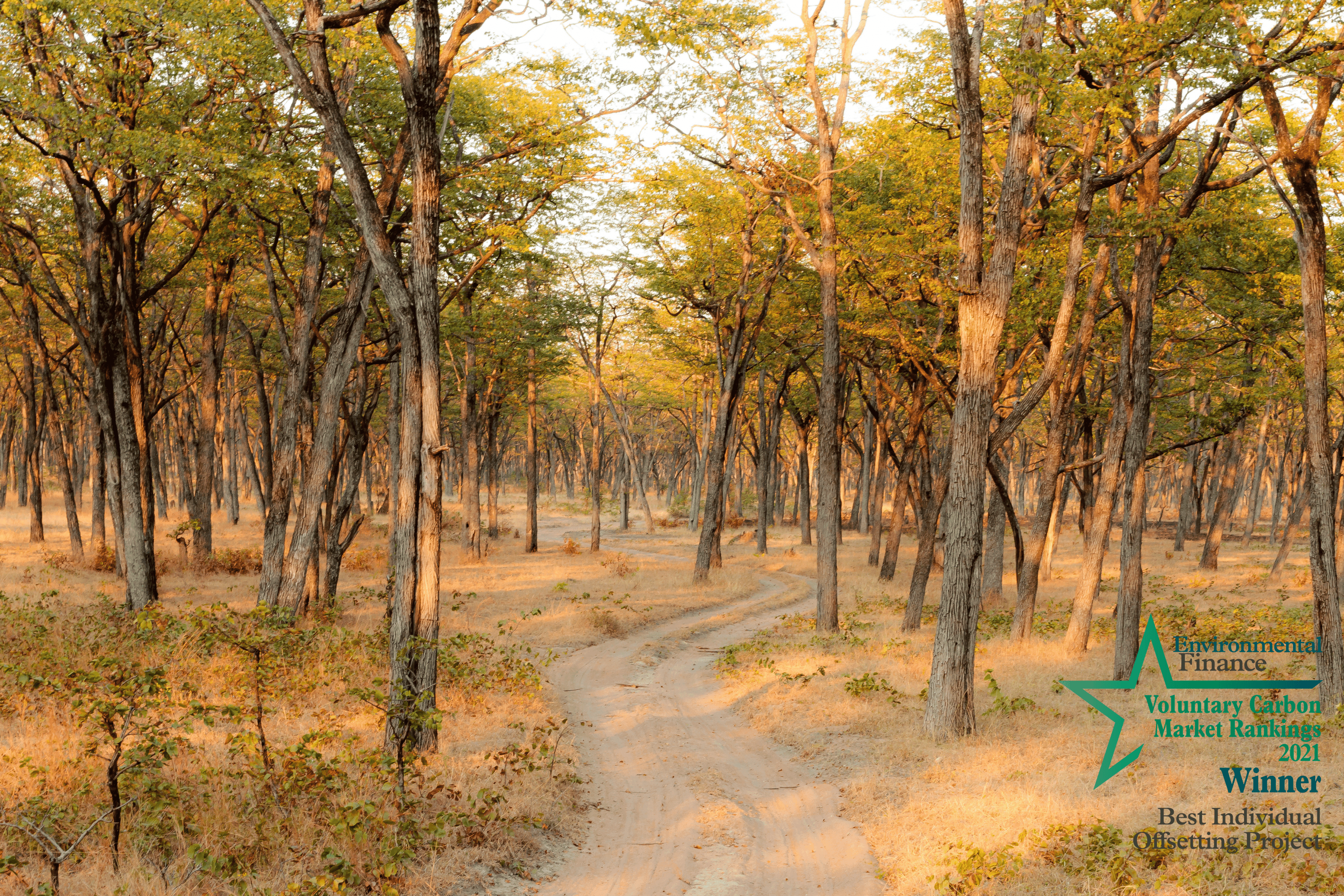 2-1.png?w=1800&h=1200&scale