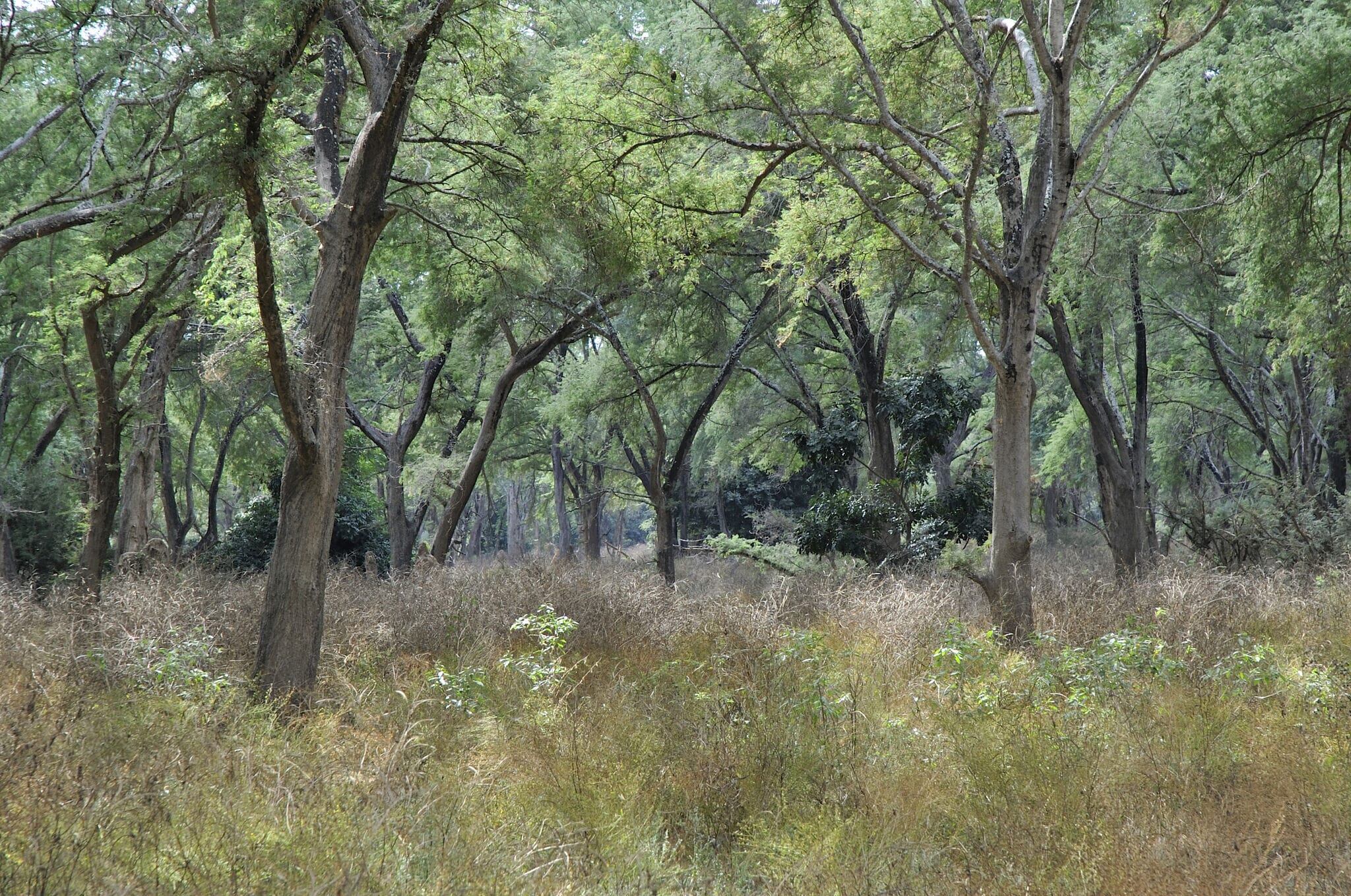 1707126587432.jpg?w=1800&h=1194&scale