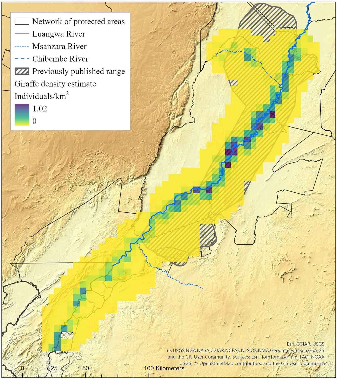 A Landmark Study Reveals the Status of Zambia’s Endemic Luangwa Giraffe ...