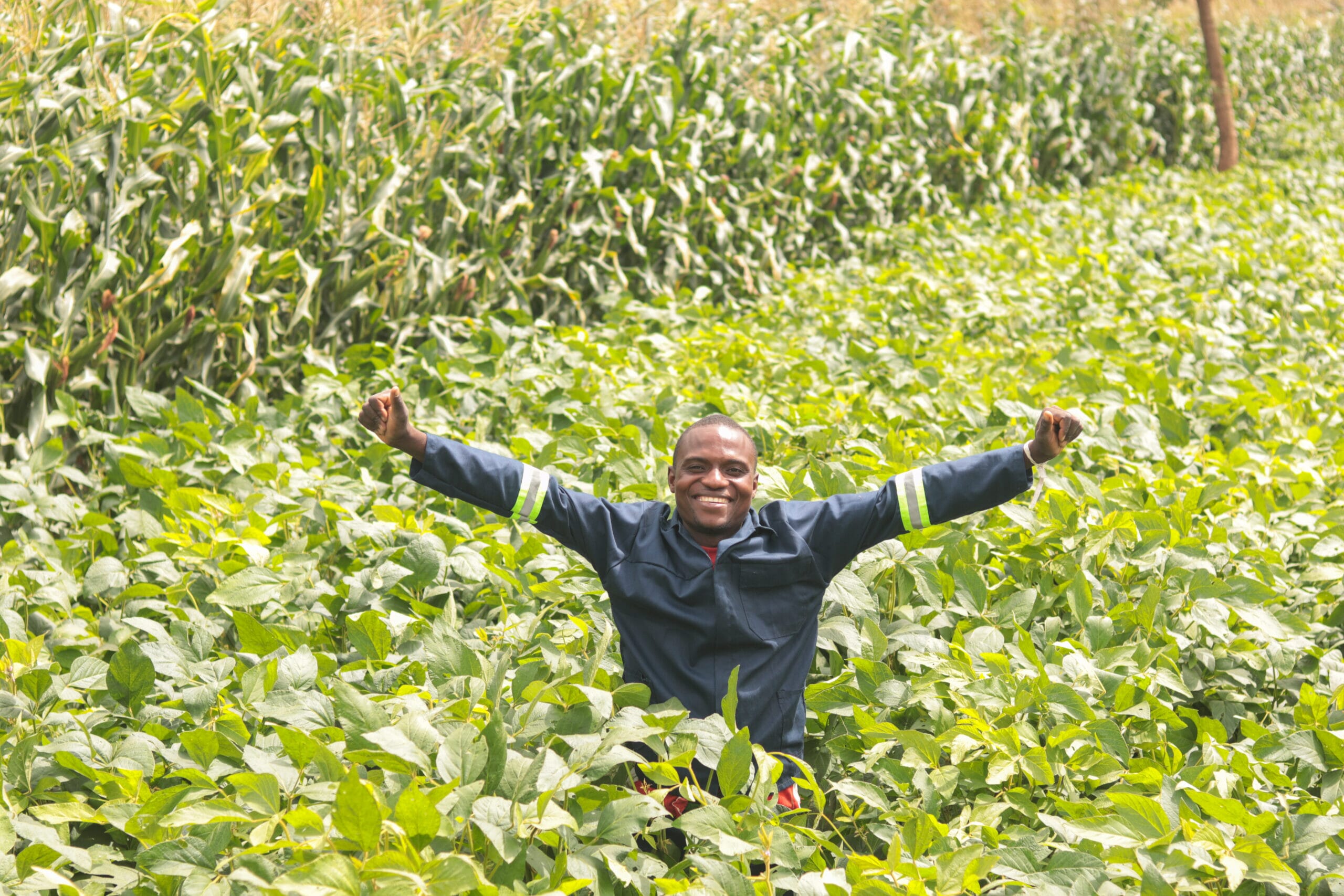 IMG_7167-scaled.jpg?w=1800&h=1200&scale