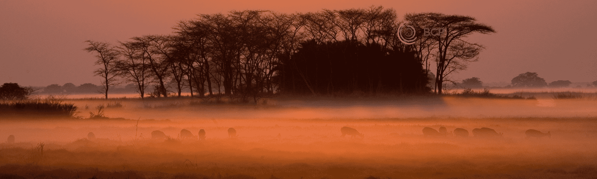 Untitled-design-2025-09-16T122955.678.png?w=1800&h=540&scale