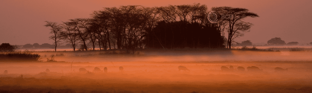 Untitled-design-2025-09-16T122955.678.png?w=1024&h=307&scale Untitled-design-2025-09-16T122955.678.png?w=1024&h=307&scale