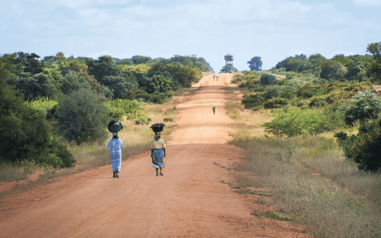 39bd2c7b0b7207a671e1a0c9269e6e7836b0a1a3