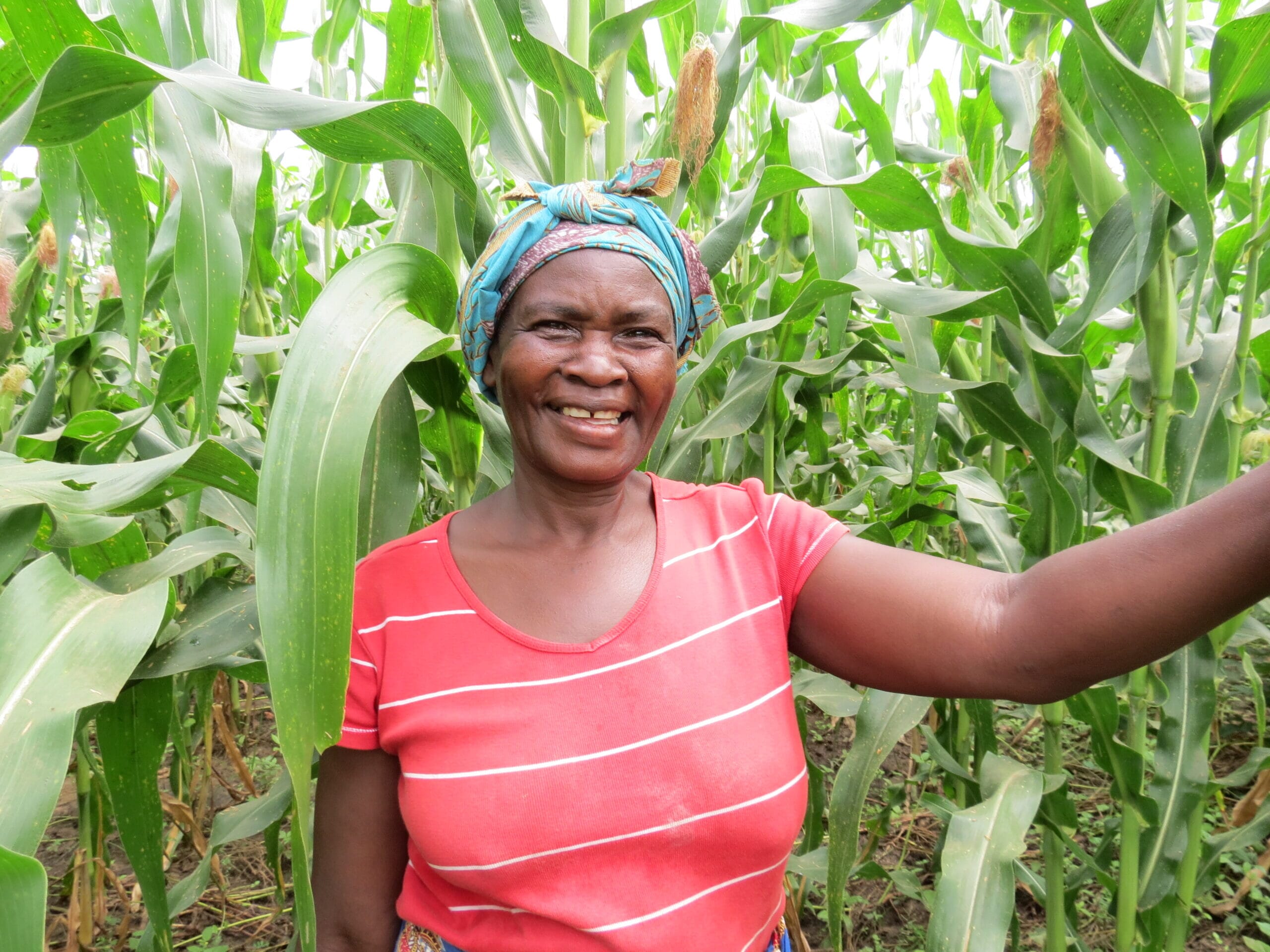 IMG_2974-scaled.jpg?w=1600&h=1200&scale